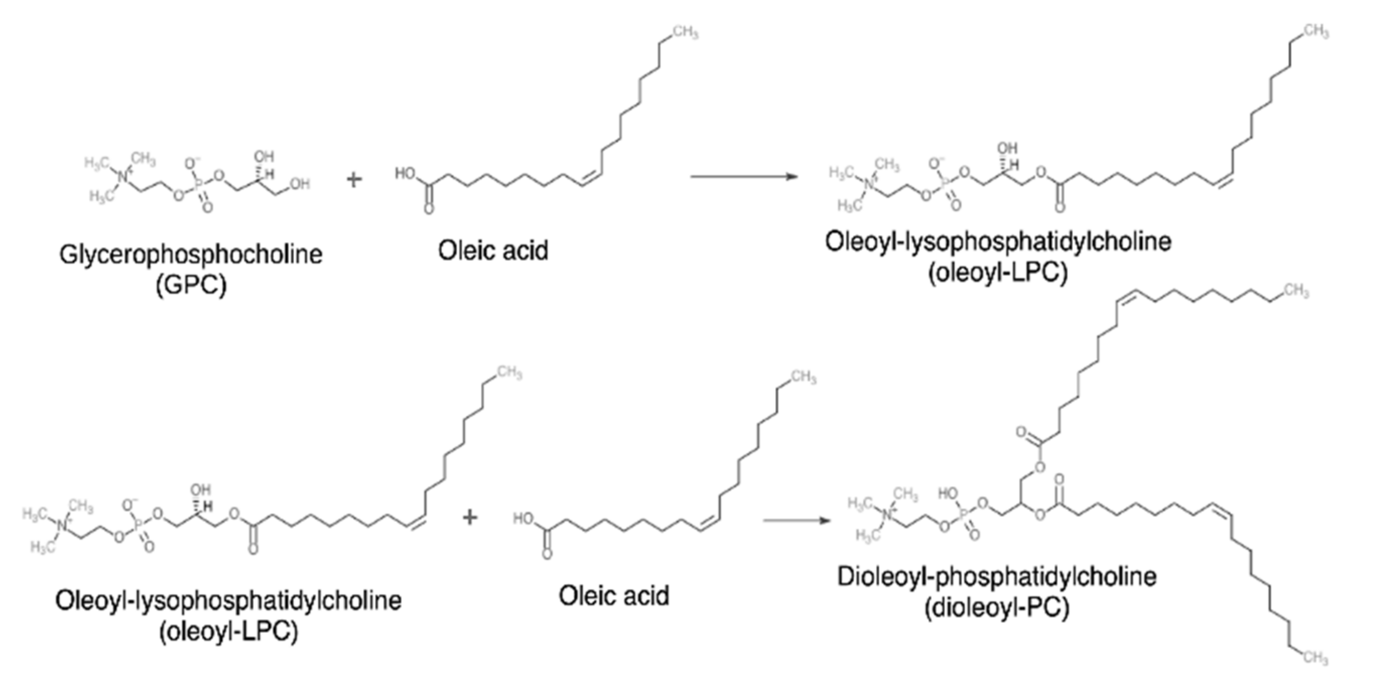 Catalysts 11 01236 g002 Catalysts 11 01236 g002