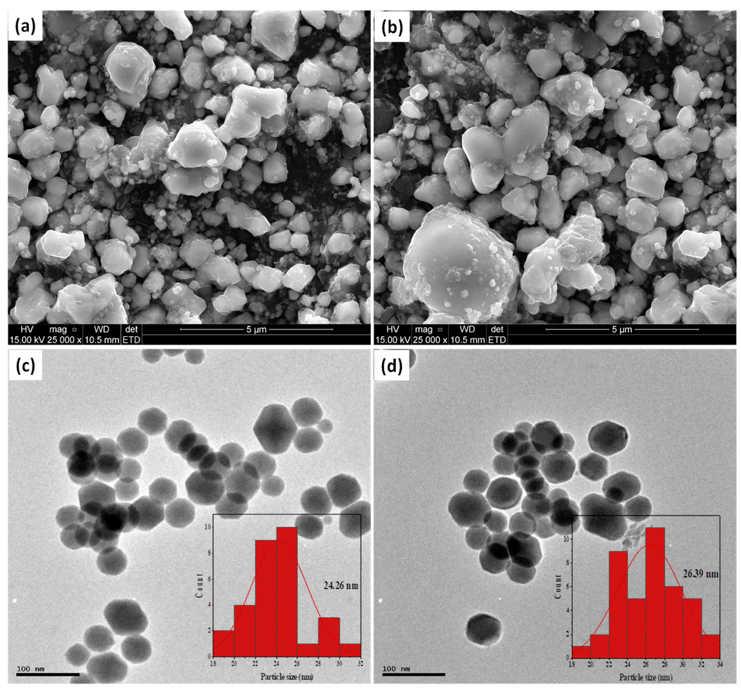 Catalysts 11 01238 g003 Catalysts 11 01238 g003