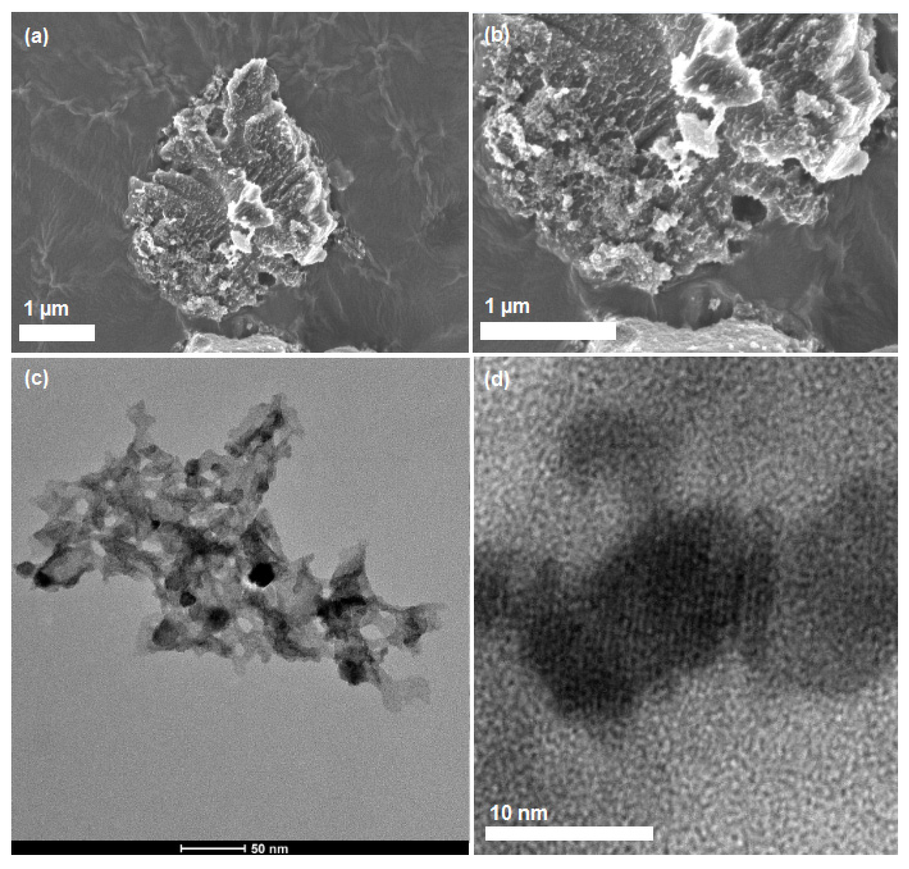 Catalysts 11 01253 g001 Catalysts 11 01253 g001