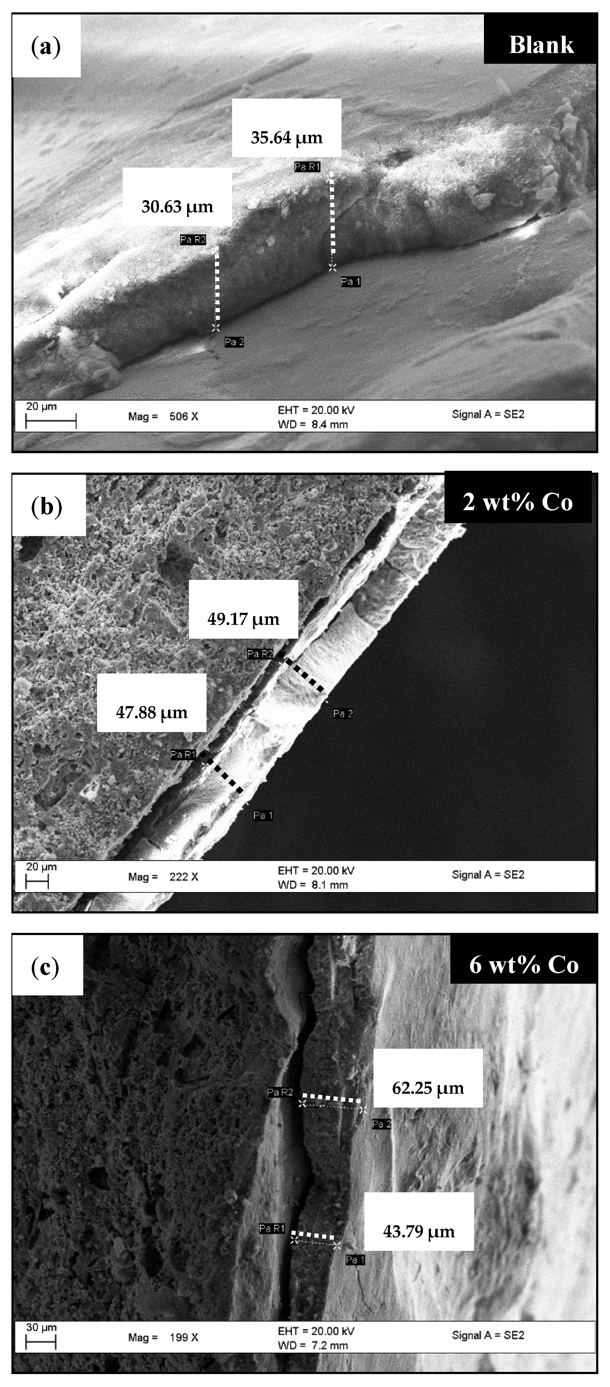 Catalysts 11 01324 g015