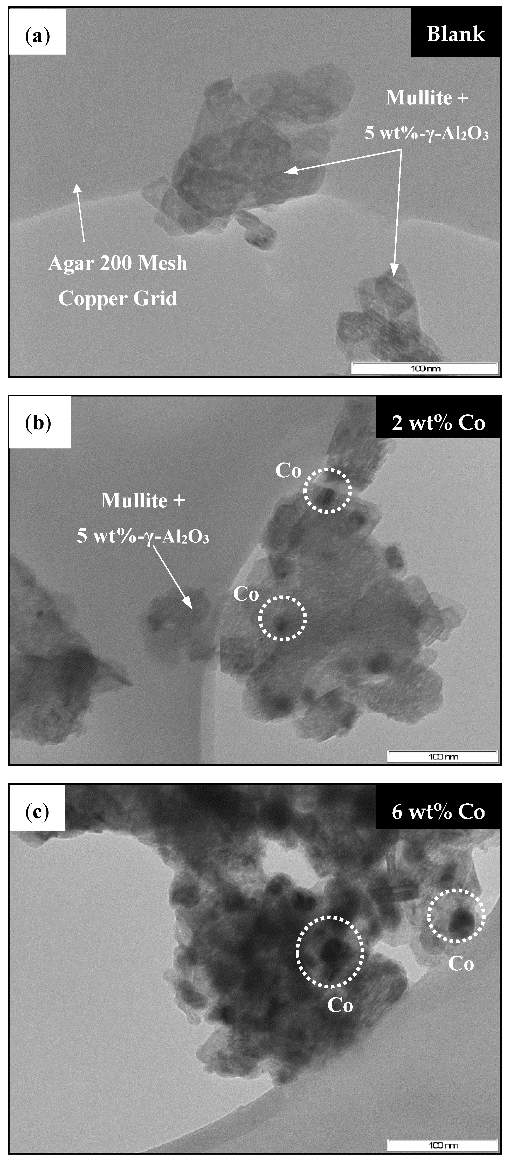 Catalysts 11 01324 g021