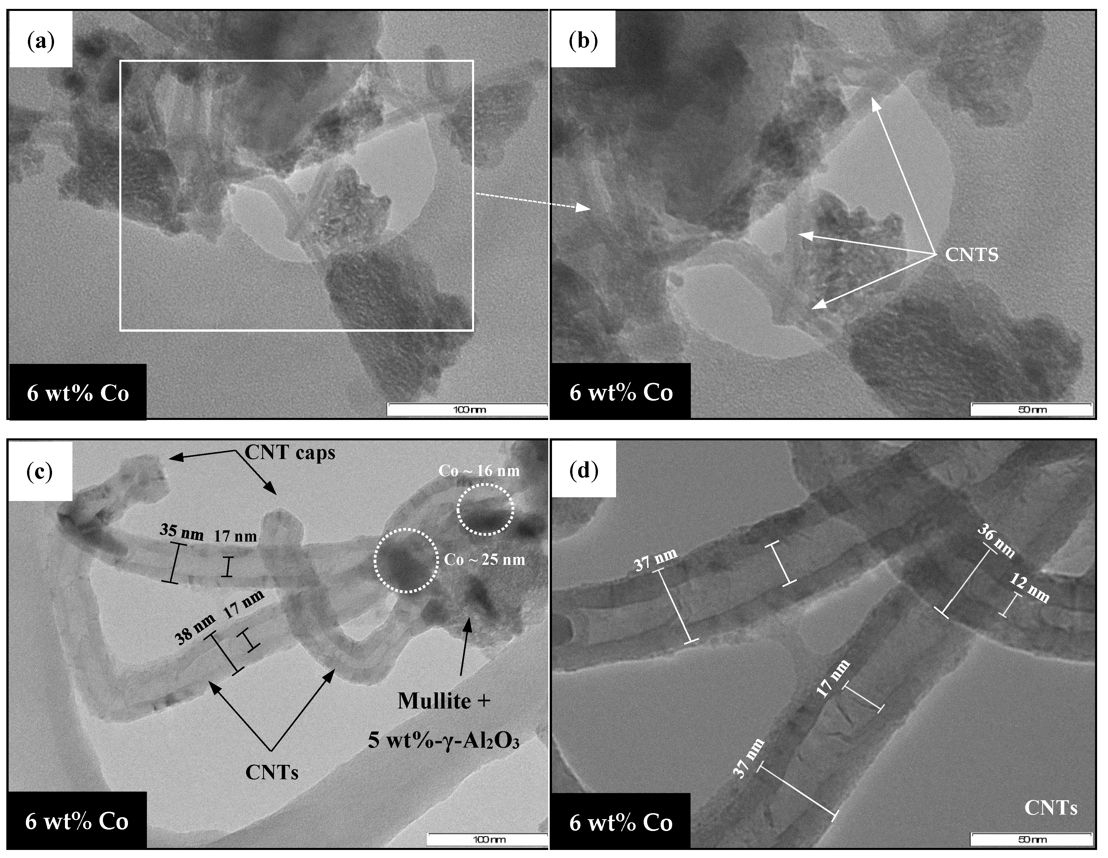 Catalysts 11 01324 g023