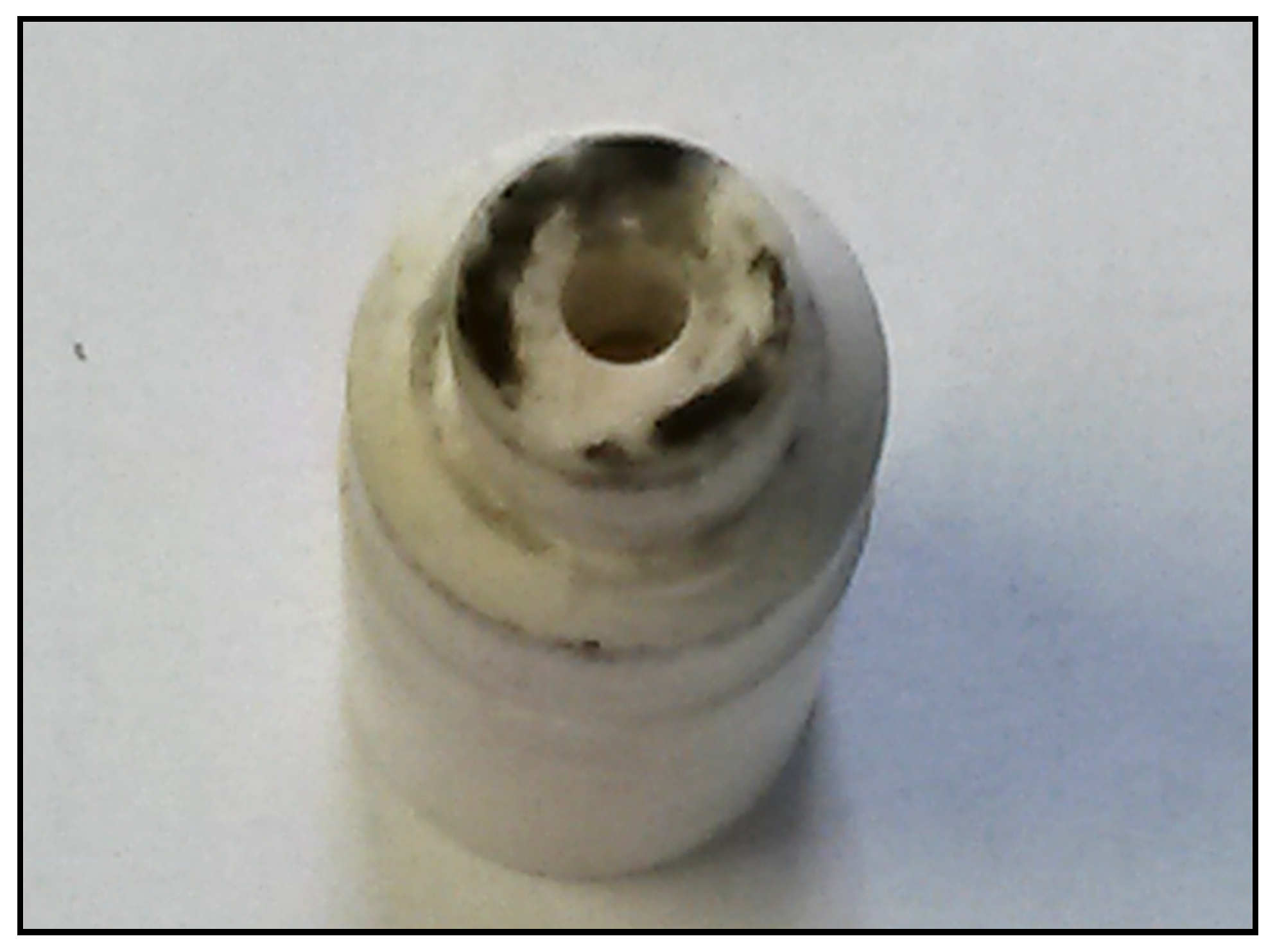 Catalysts 11 01324 sch001