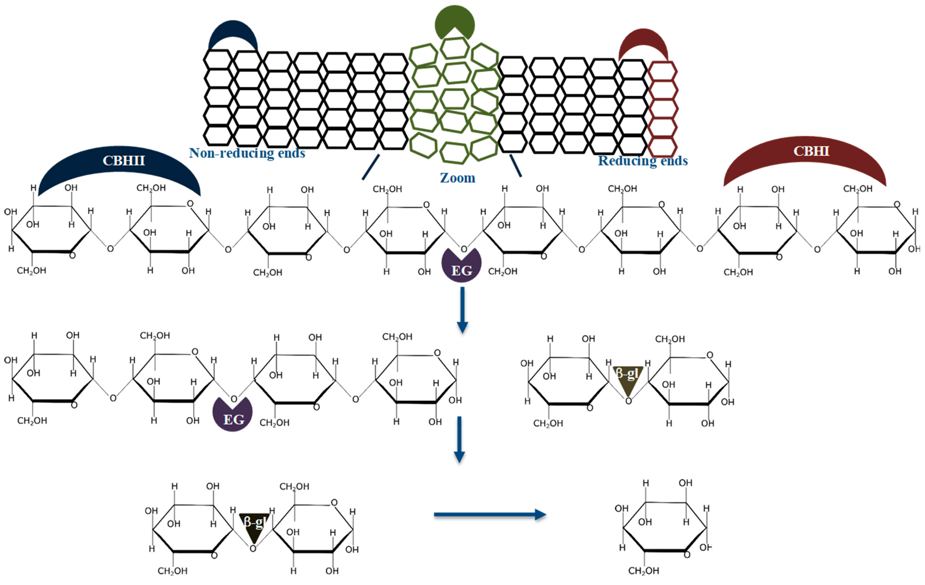 Catalysts 11 01343 g002