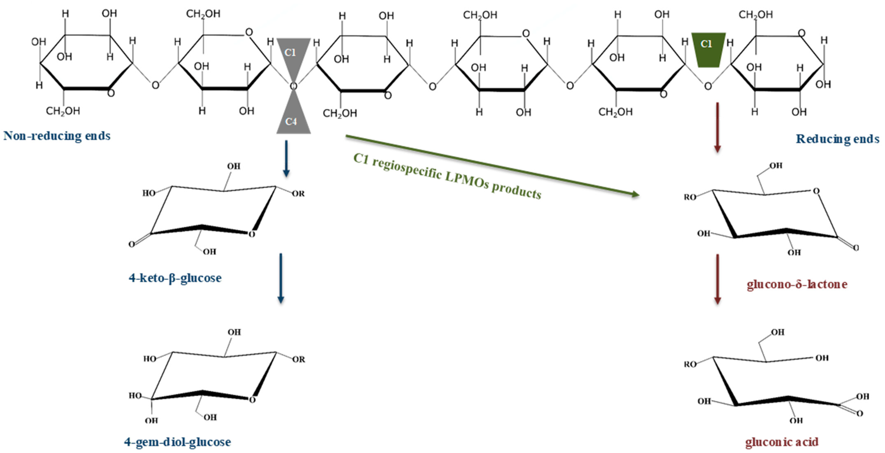 Catalysts 11 01343 g003