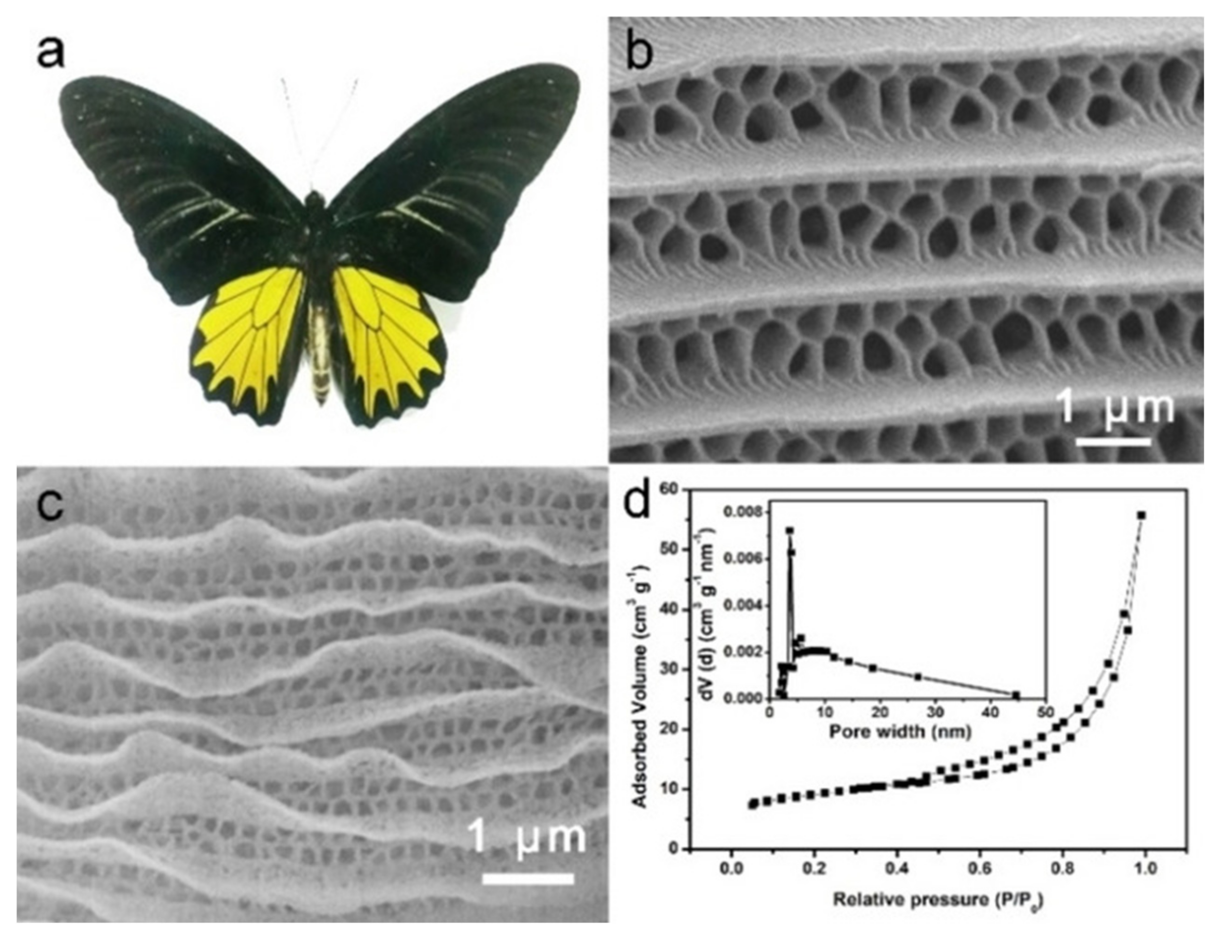 Catalysts 11 01364 g002