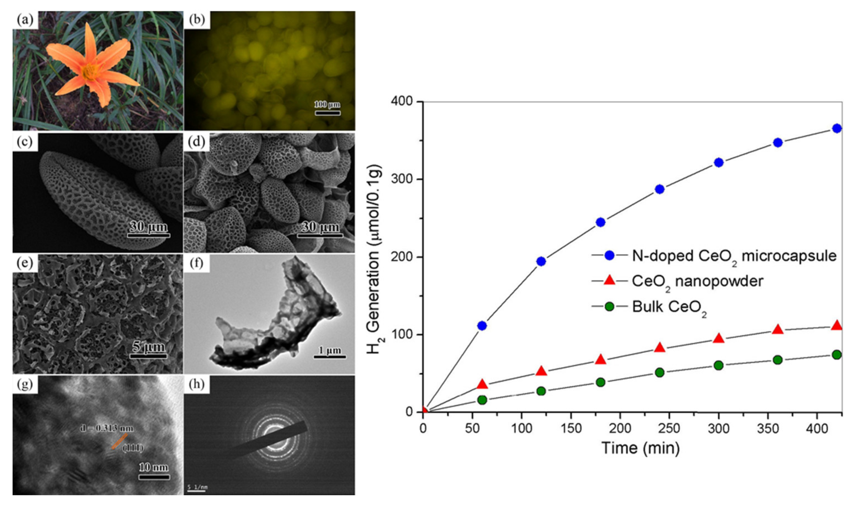 Catalysts 11 01364 g003