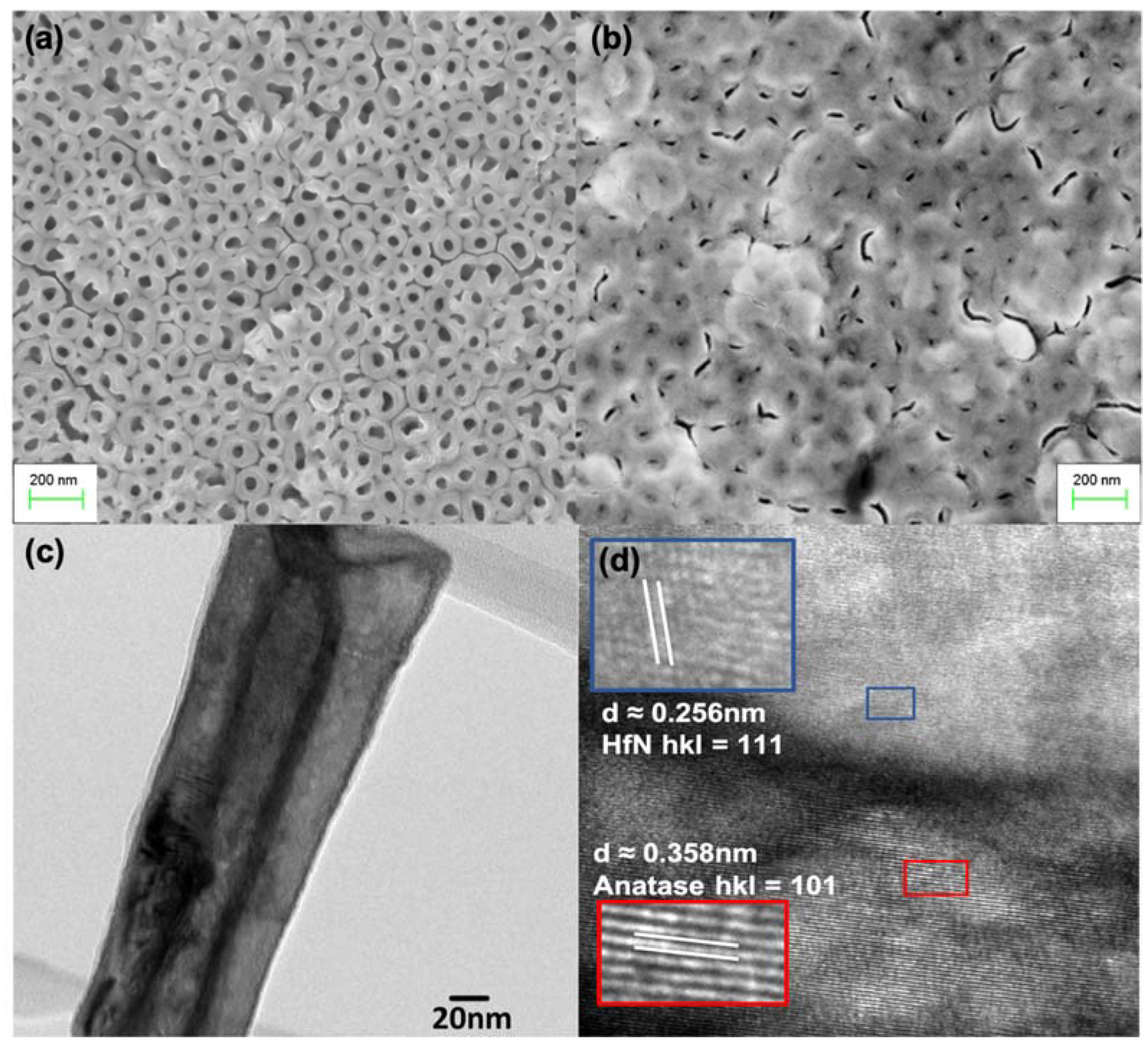 Catalysts 11 01374 g002