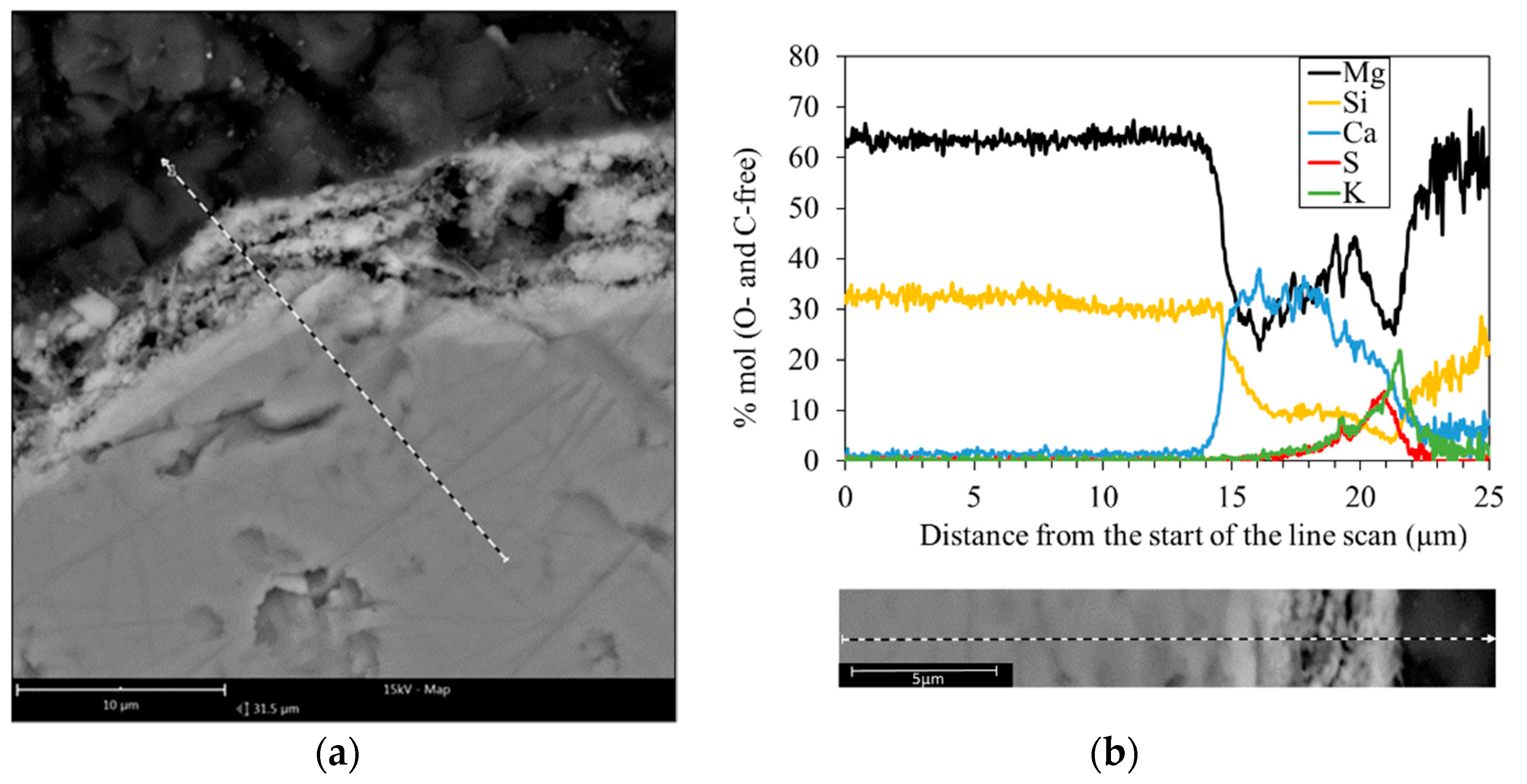 Catalysts 11 01380 g004