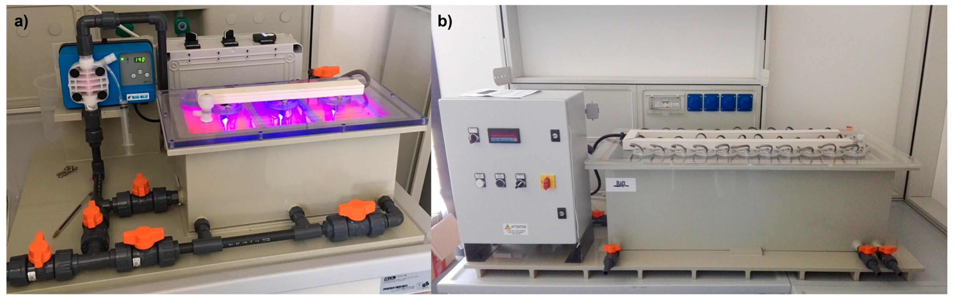 Catalysts 11 01418 g004