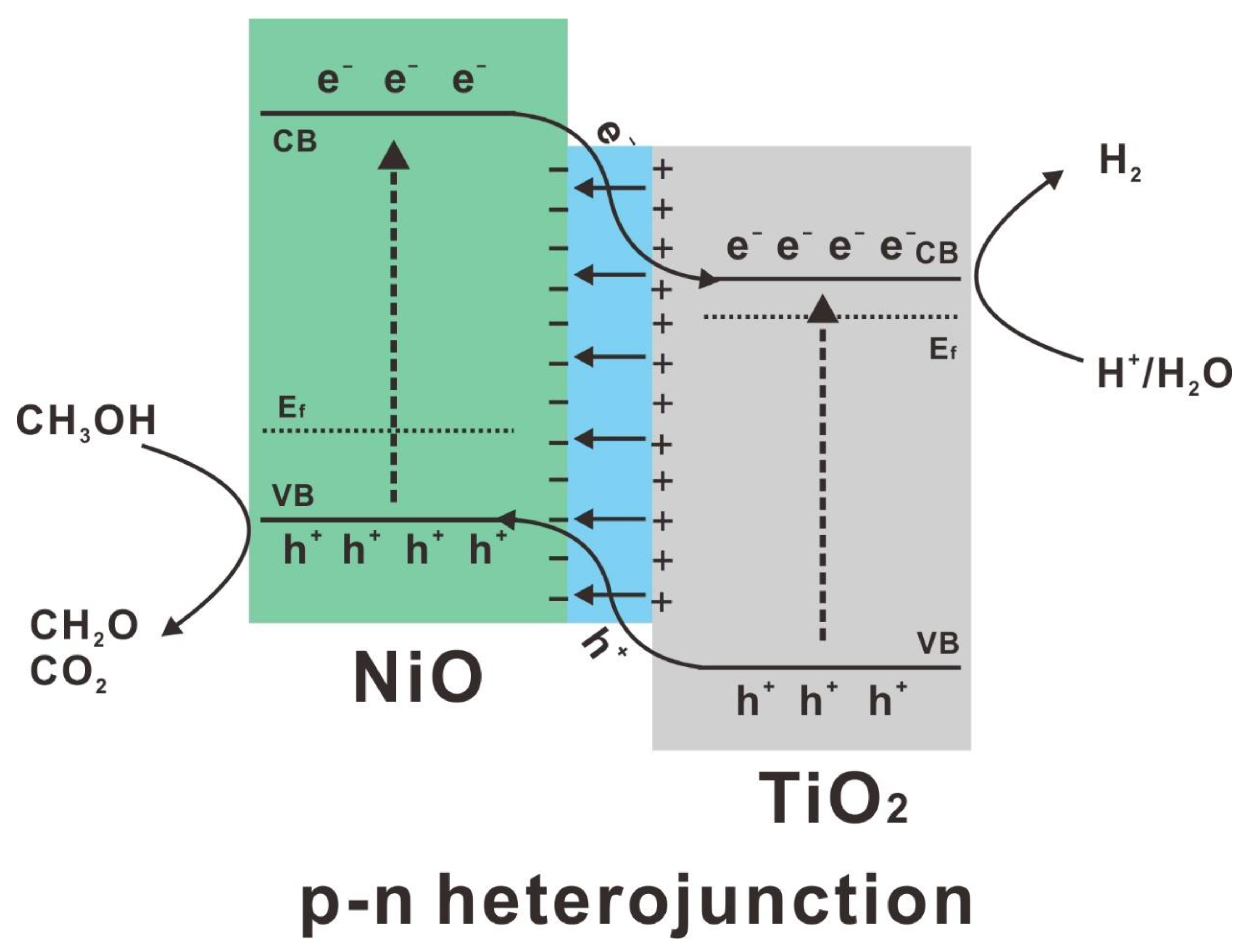 Catalysts 11 01427 g007