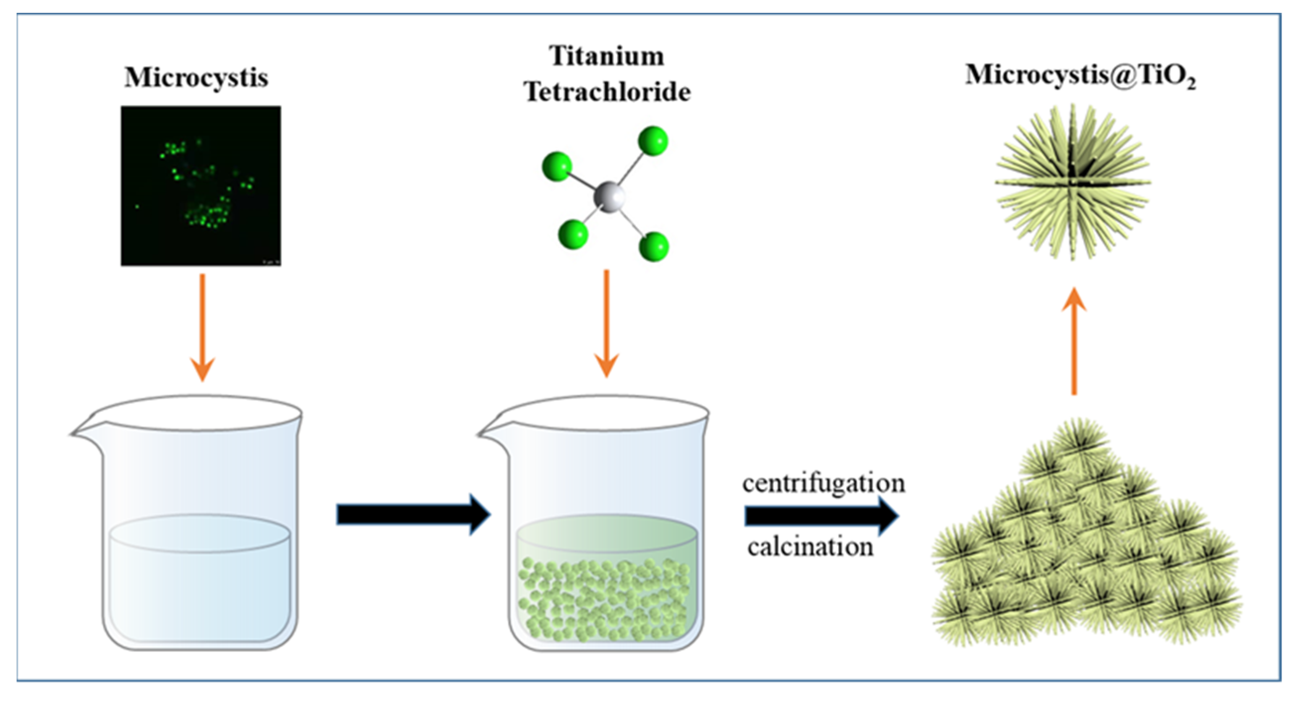 Catalysts 11 01443 g001