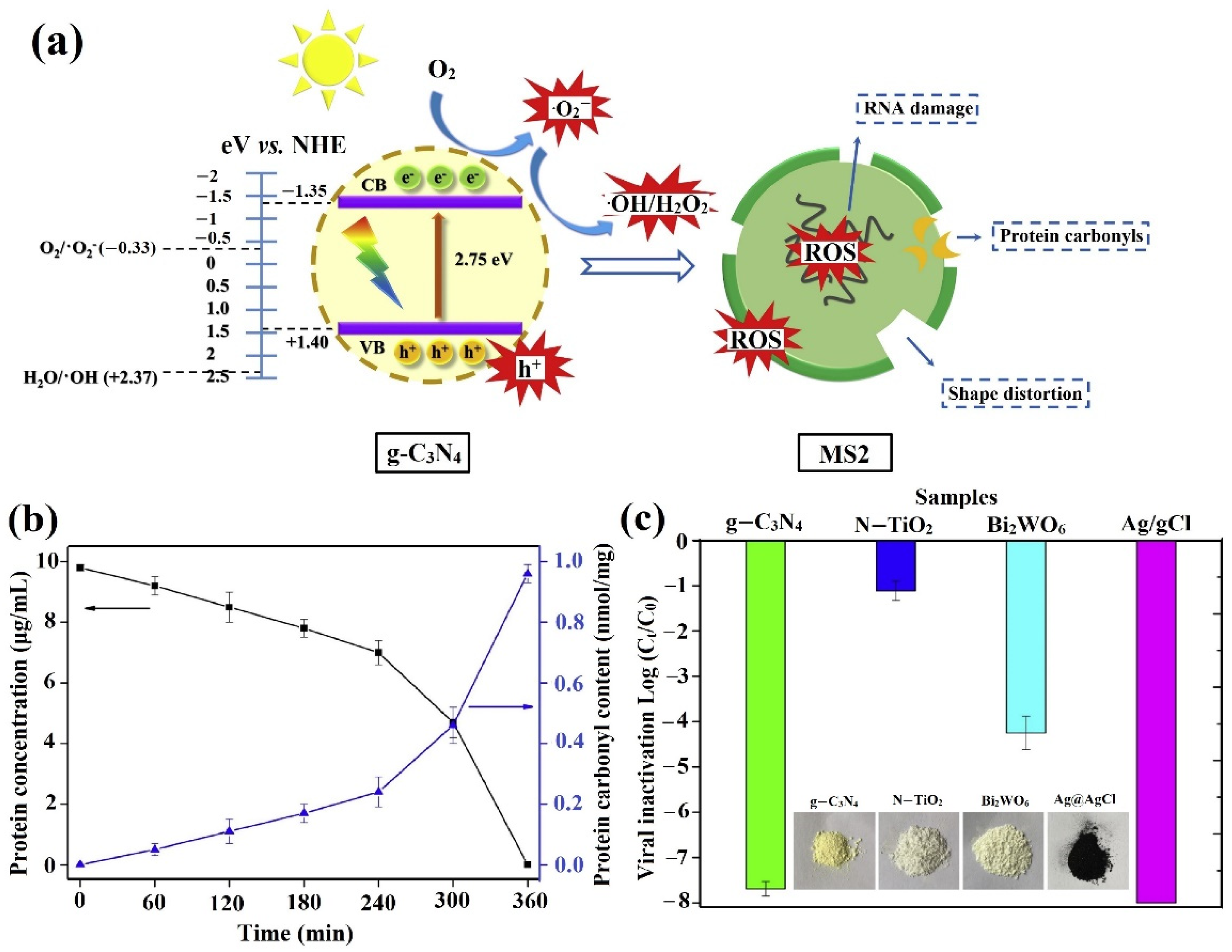 Catalysts 11 01448 g002