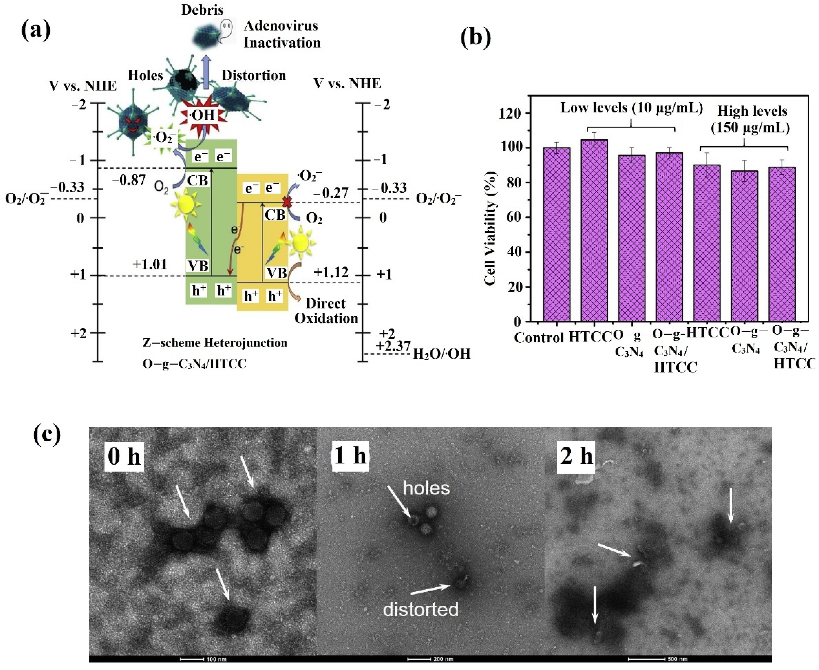 Catalysts 11 01448 g004