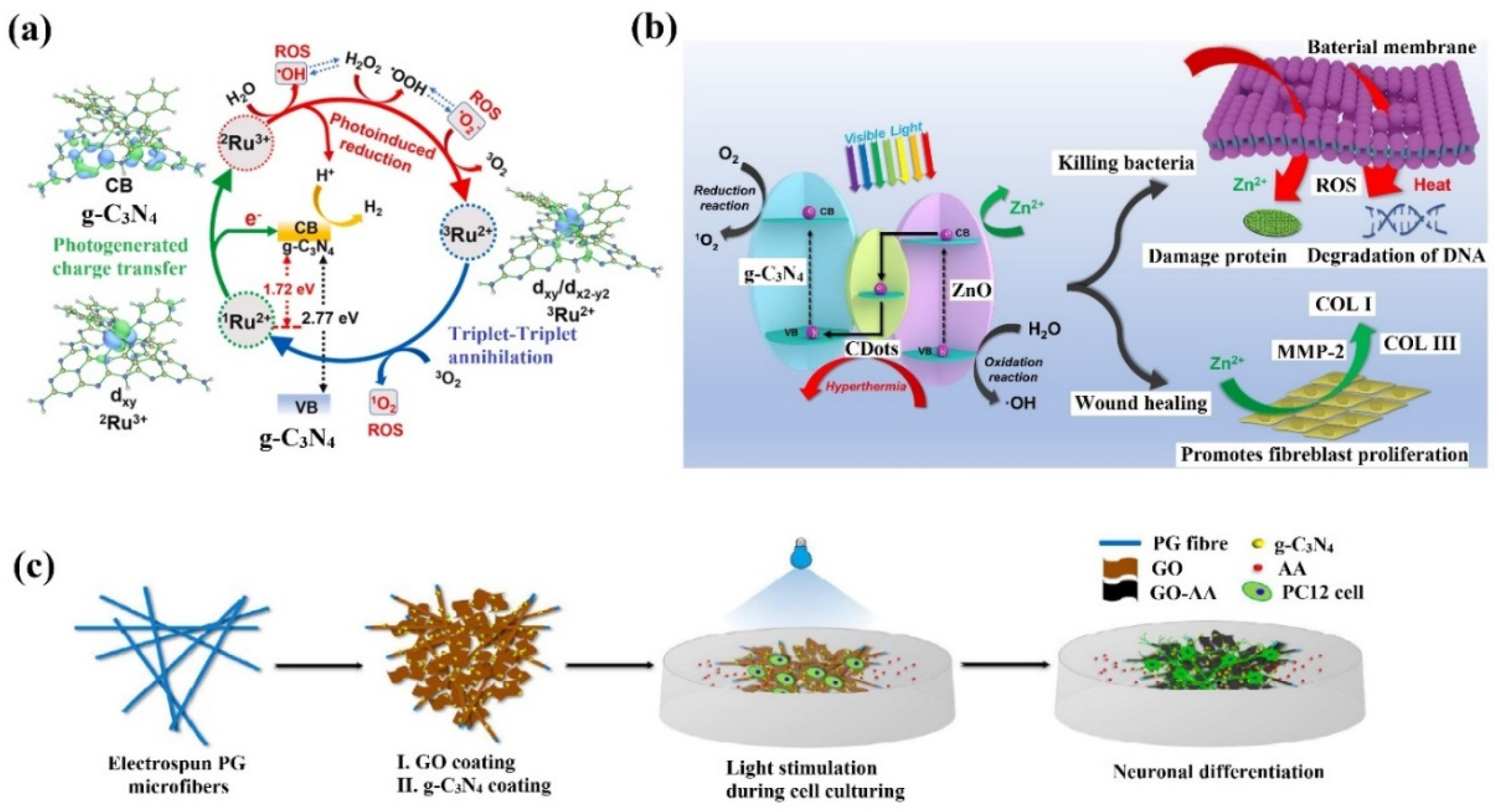 Catalysts 11 01448 g005