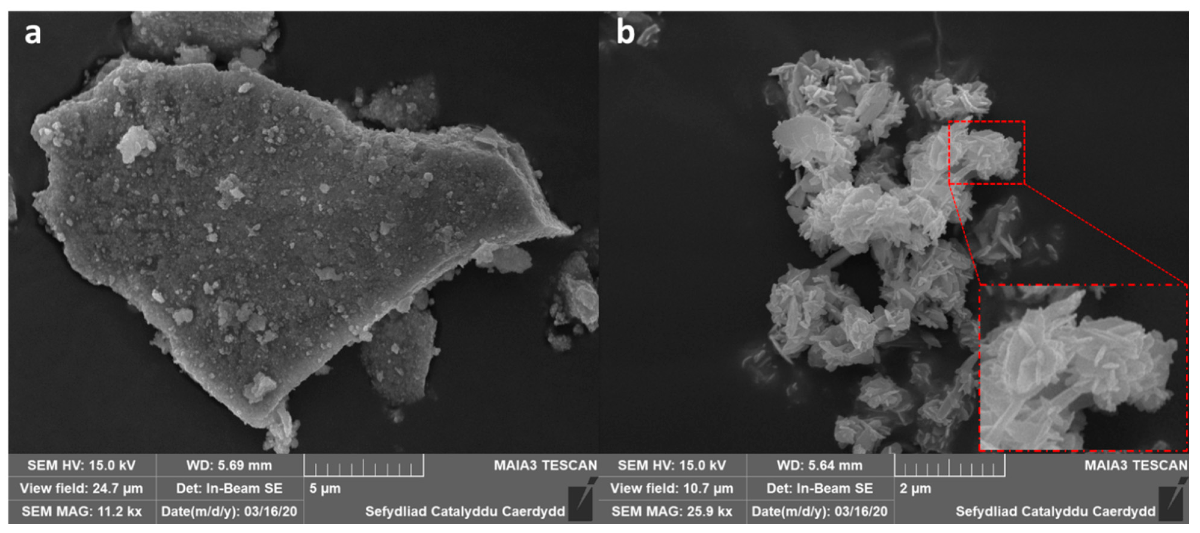 Catalysts 11 01461 g004