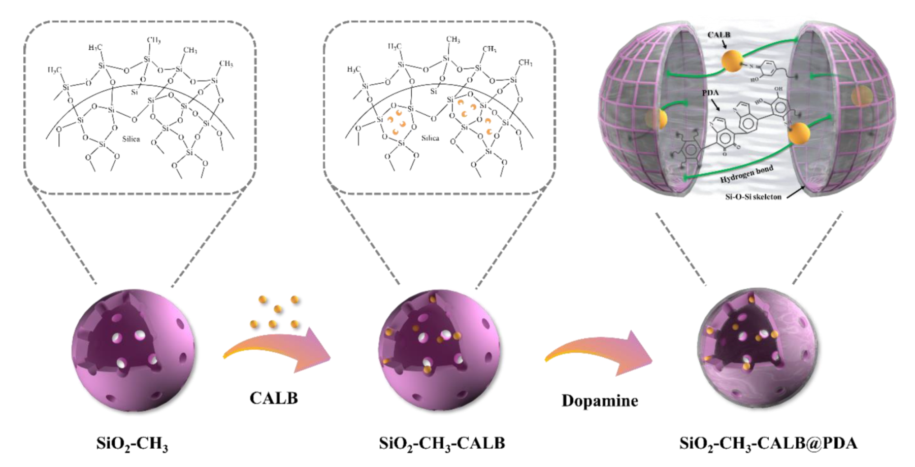 Catalysts 11 01463 g005