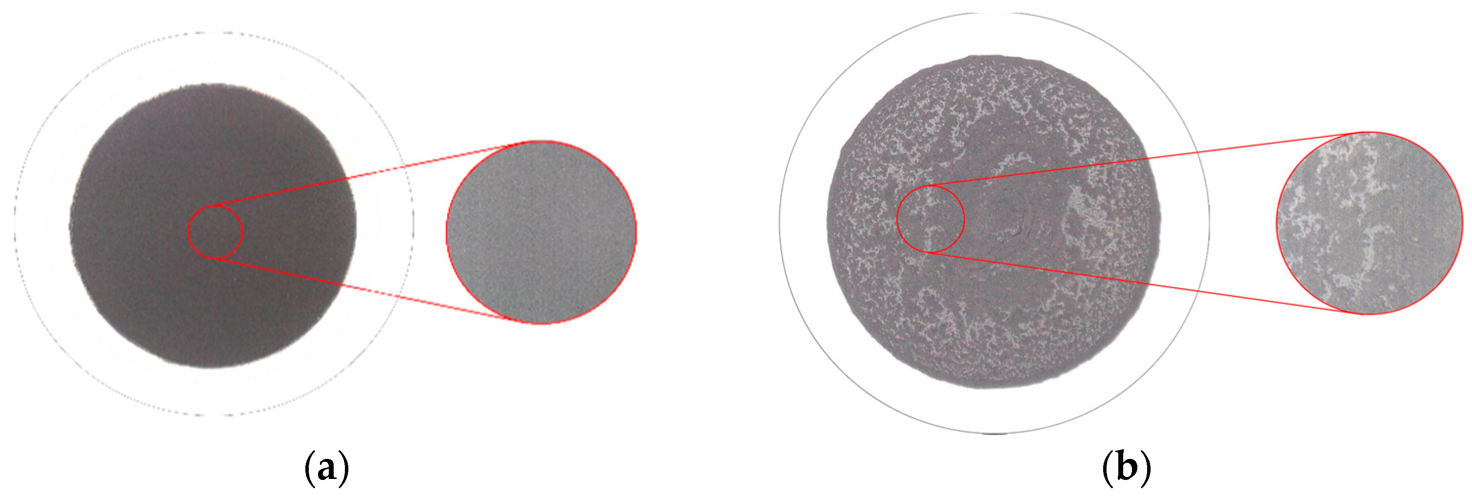 Catalysts 11 01469 g002