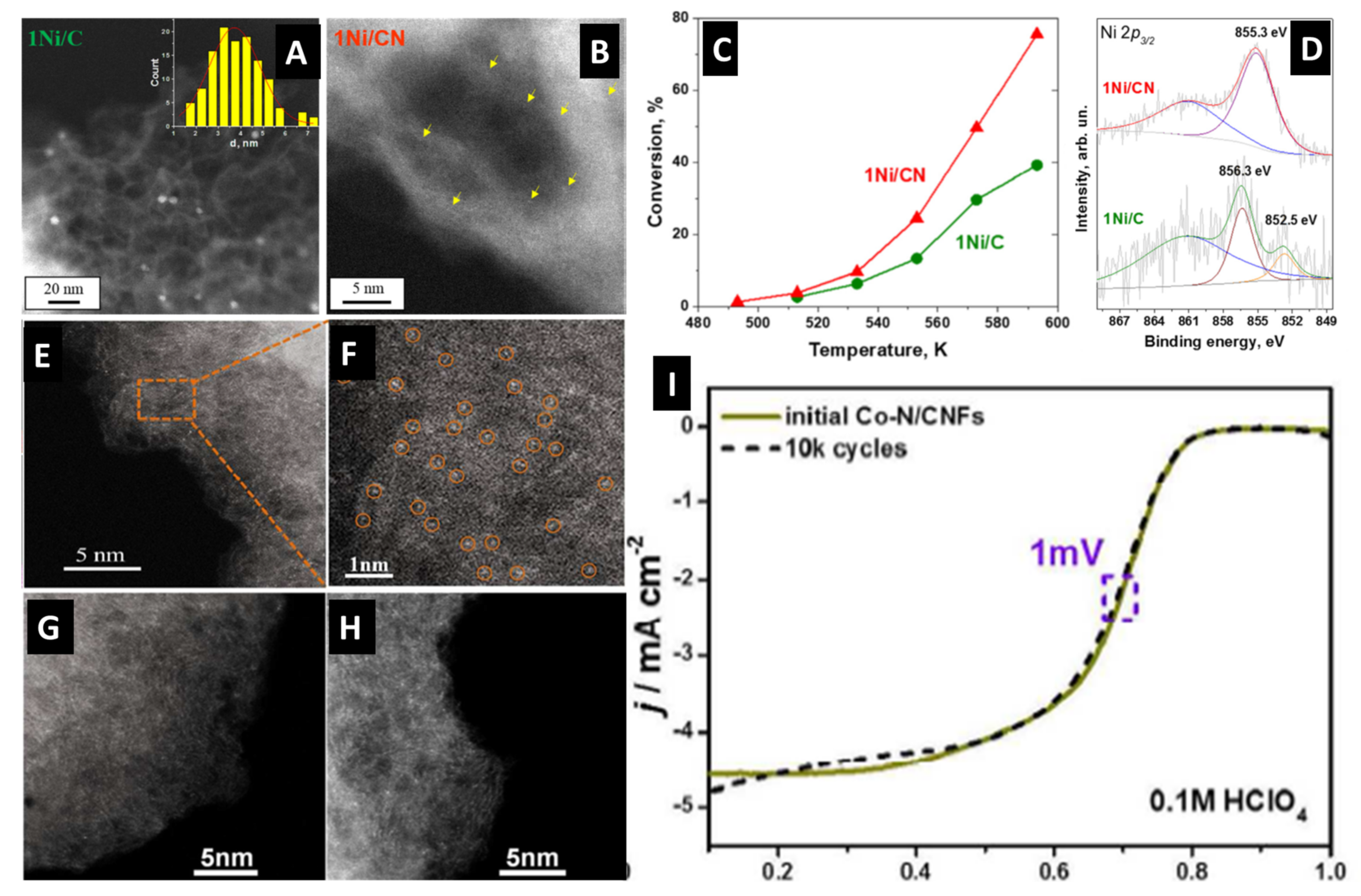 Catalysts 11 01470 g004 Catalysts 11 01470 g004