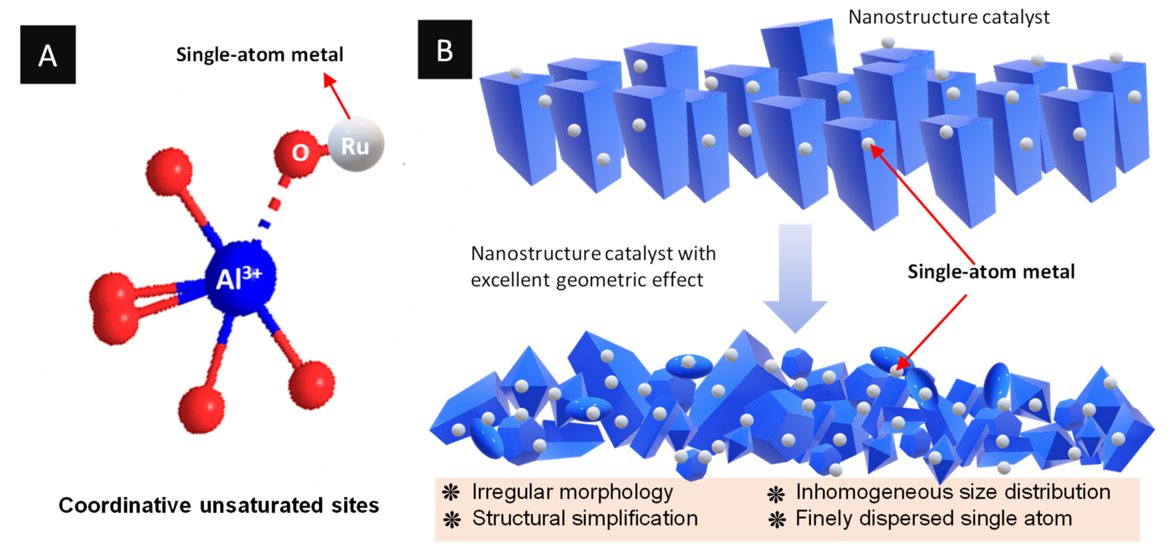 Catalysts 11 01470 g005 Catalysts 11 01470 g005