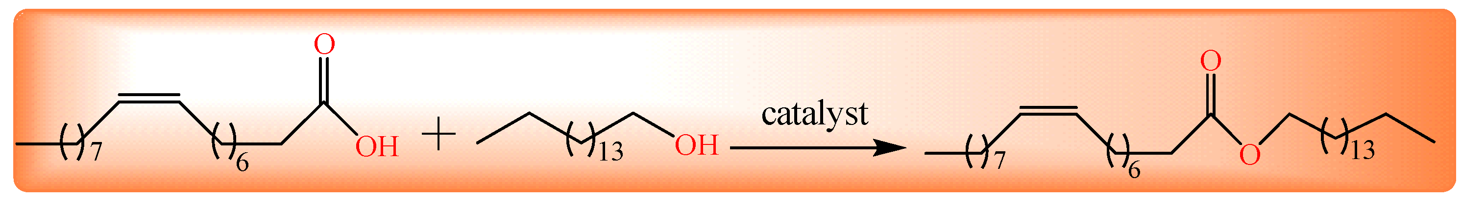 Catalysts 11 01471 g001