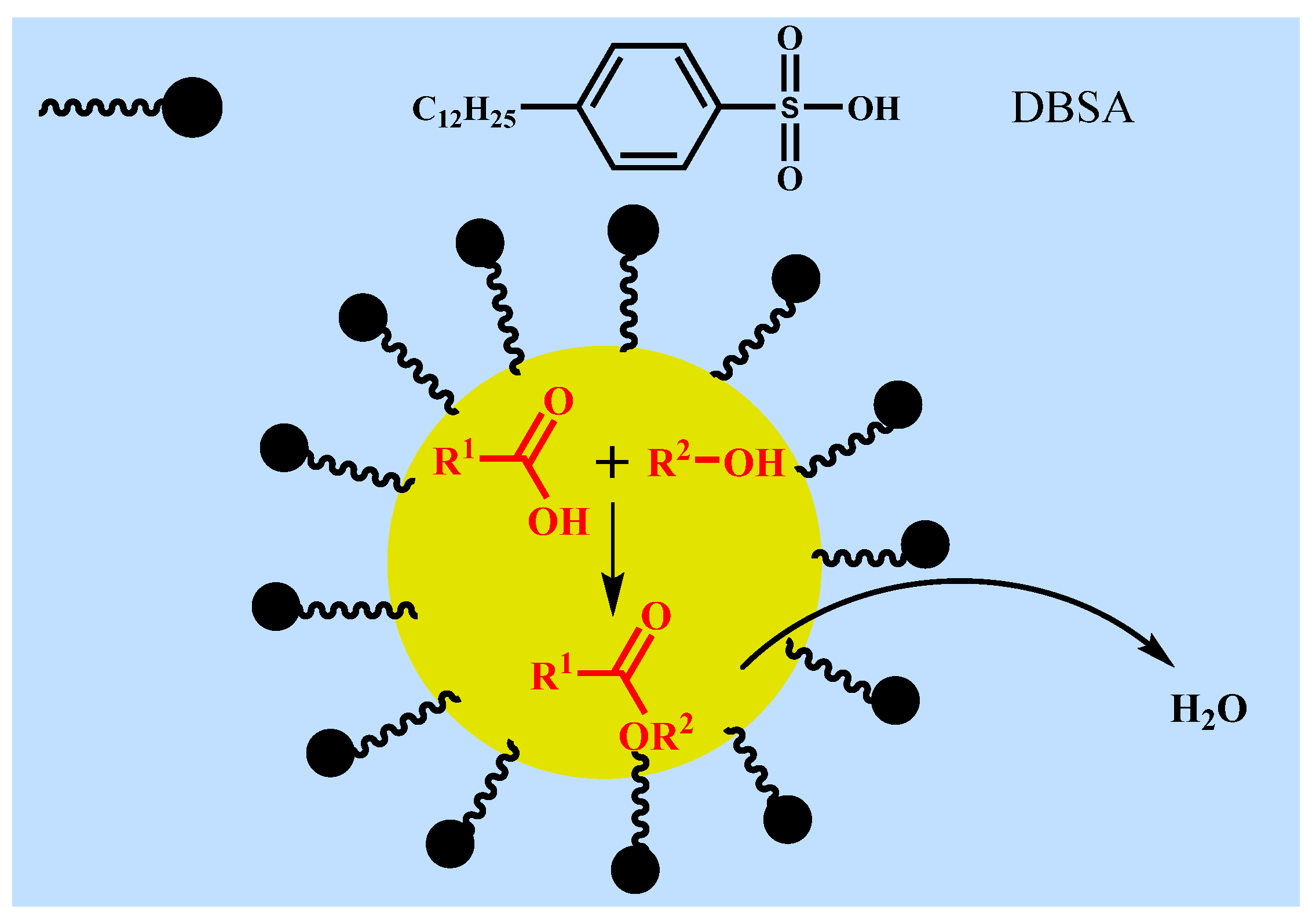 Catalysts 11 01471 g008