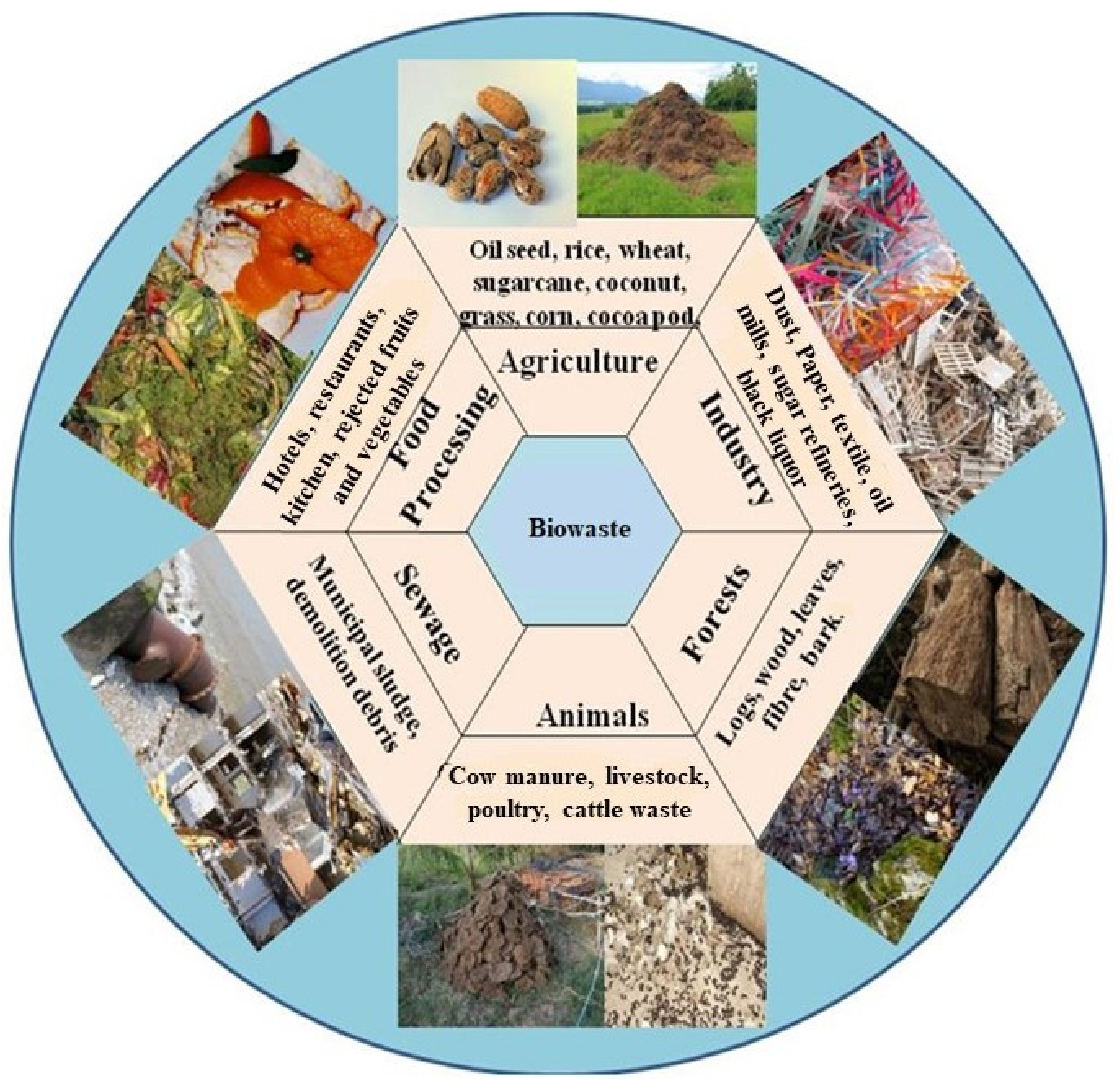 Catalysts 11 01485 g002