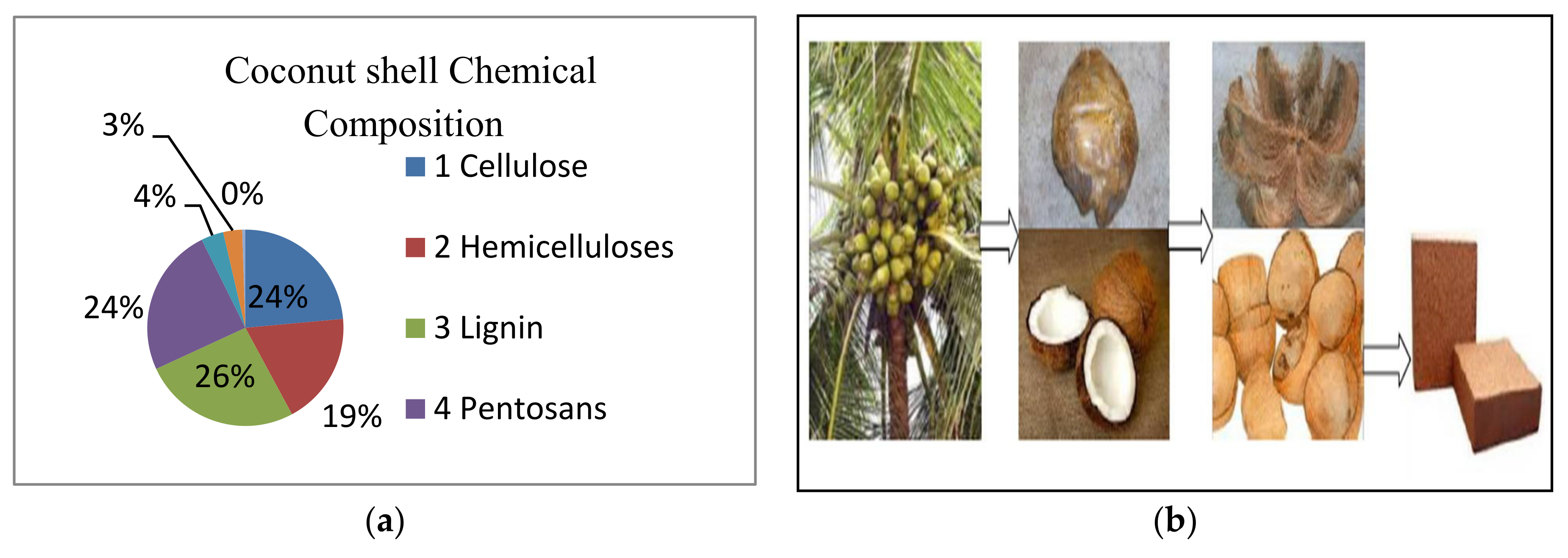 Catalysts 11 01485 g008
