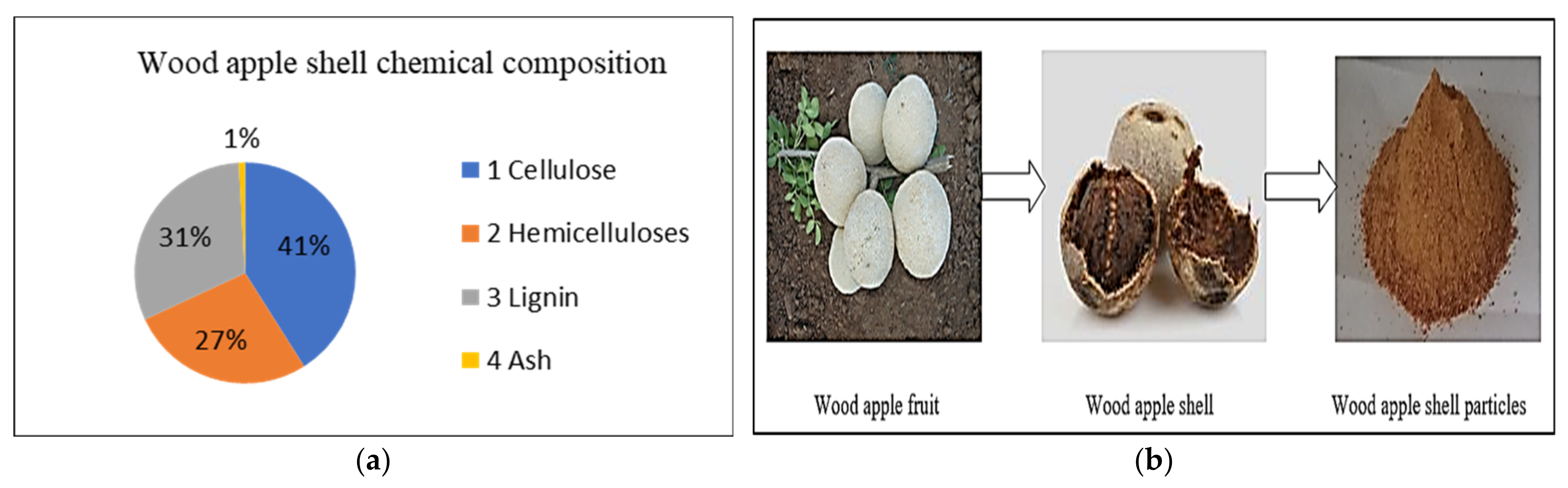 Catalysts 11 01485 g014