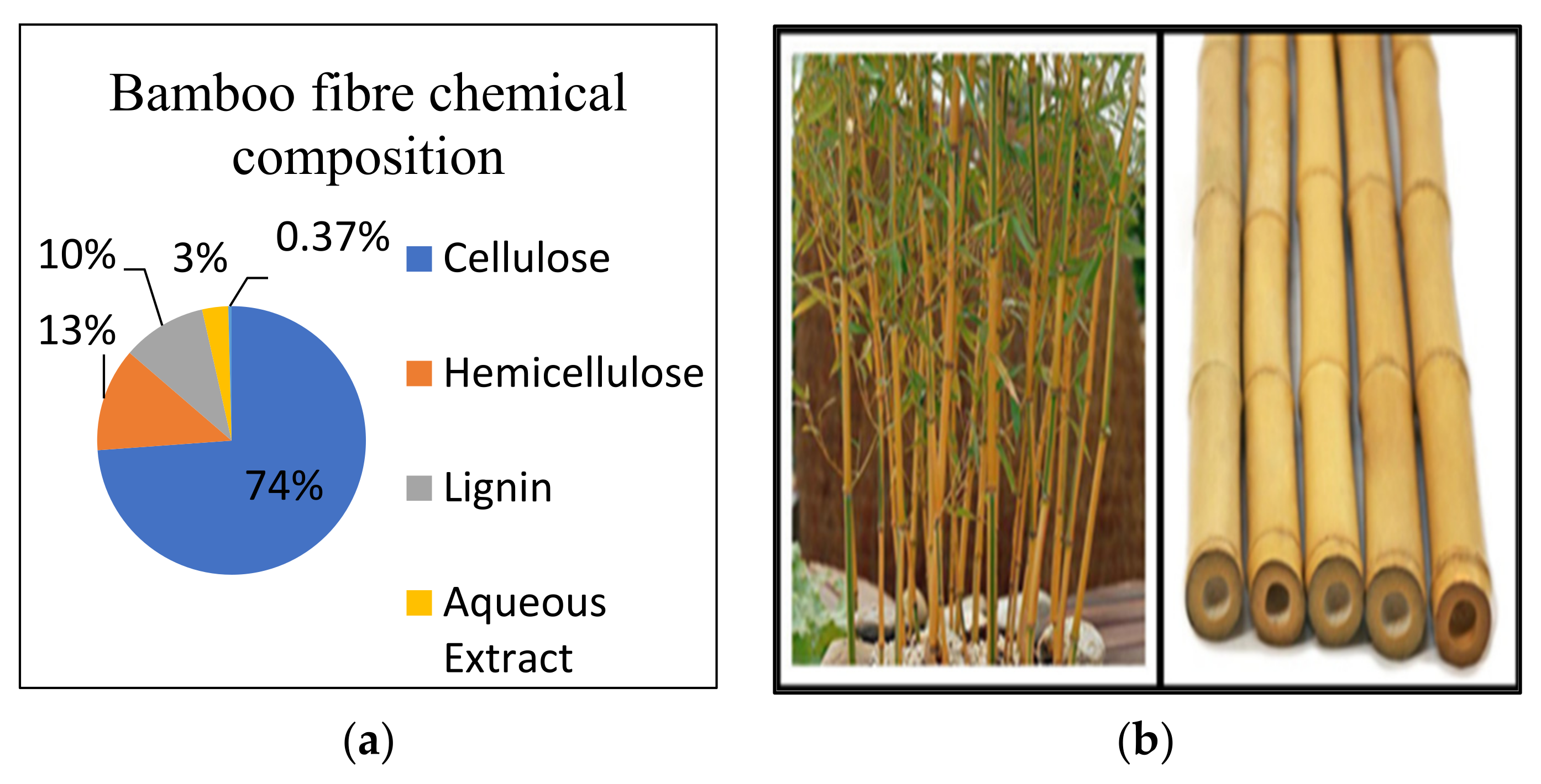 Catalysts 11 01485 g020