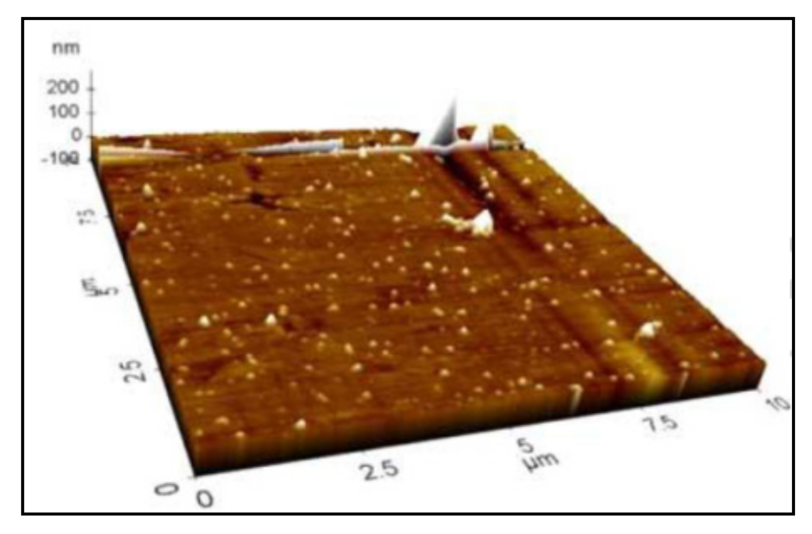 Catalysts 11 01485 g026