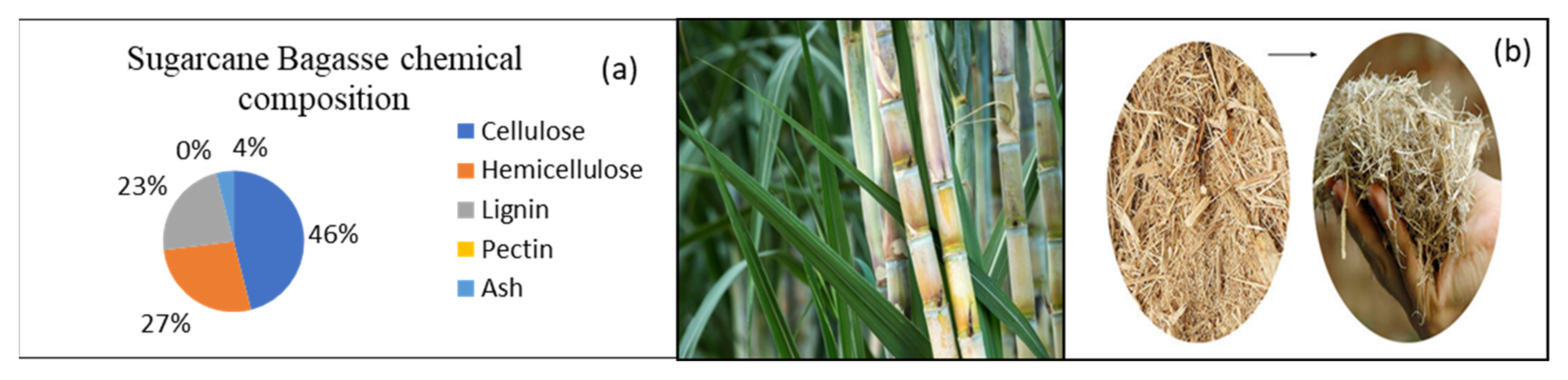 Catalysts 11 01485 g029