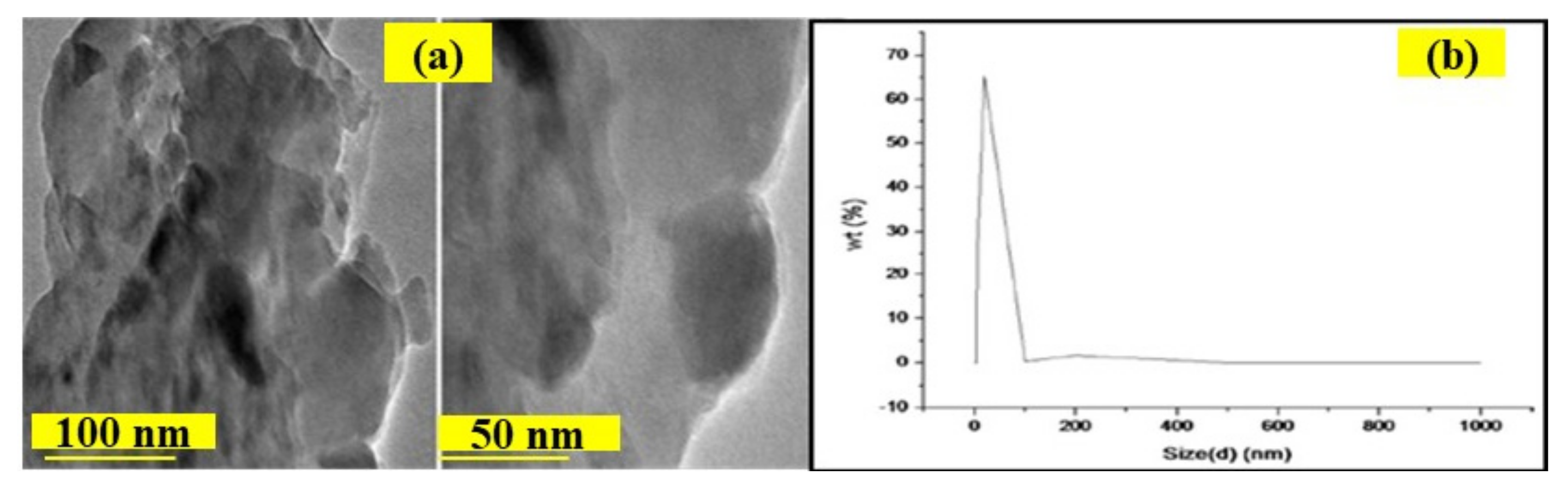 Catalysts 11 01485 g034
