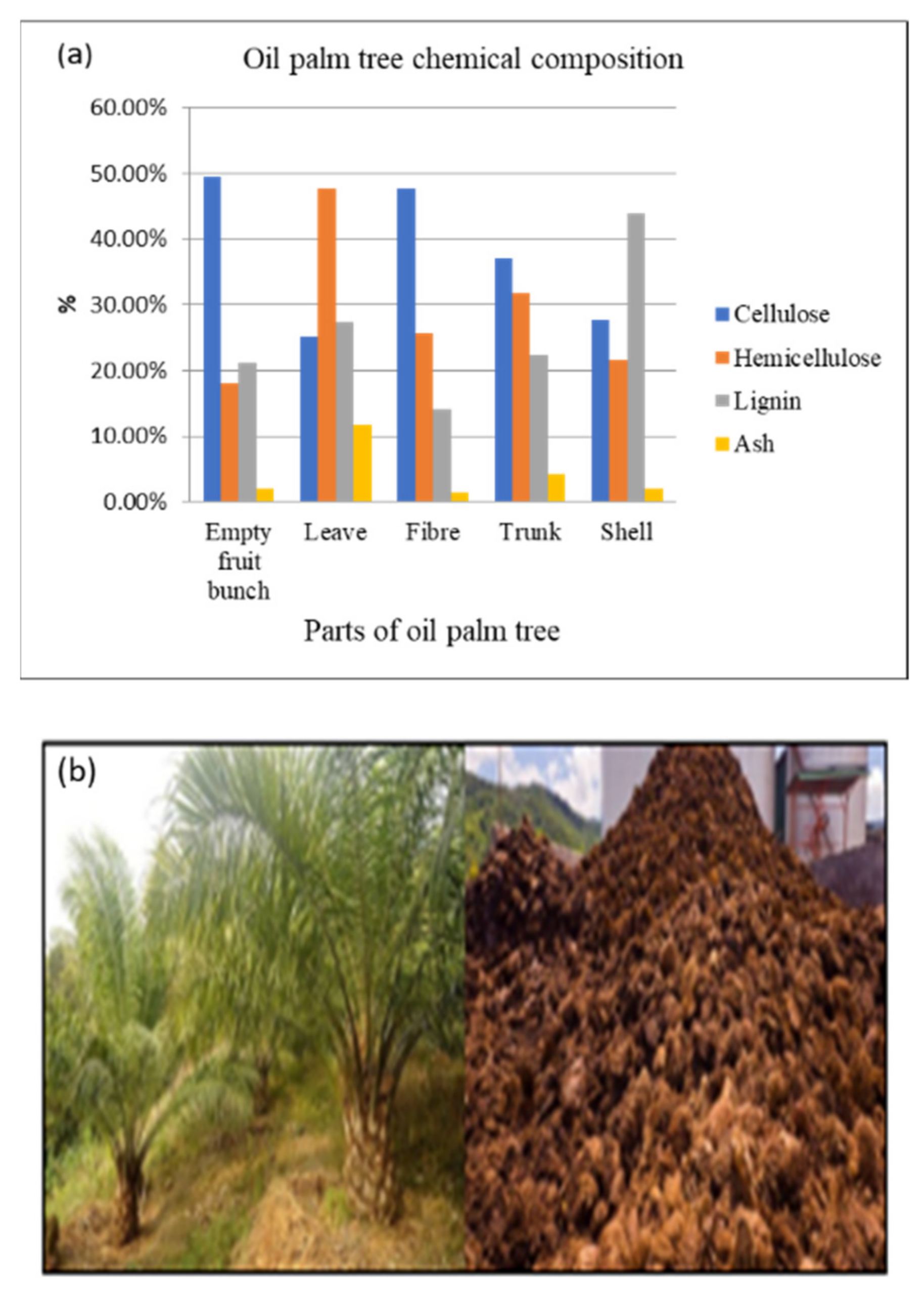 Catalysts 11 01485 g036