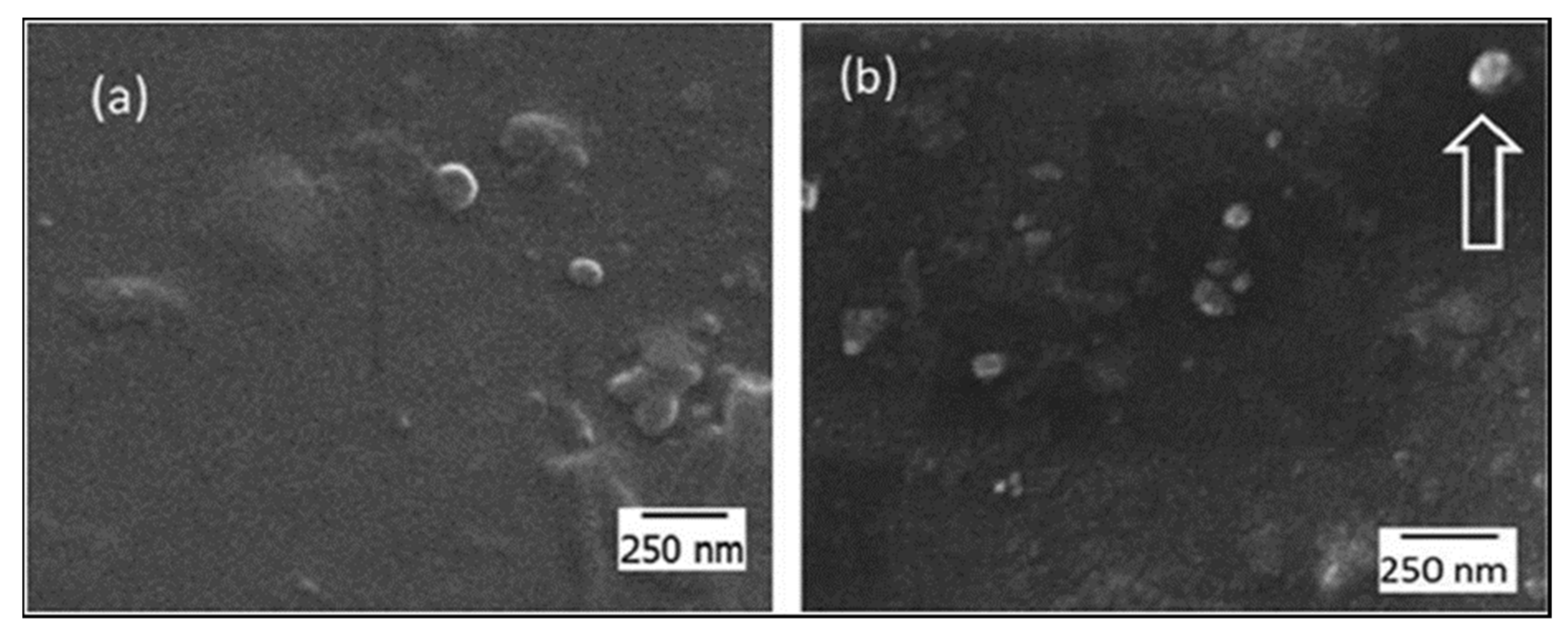 Catalysts 11 01485 g040