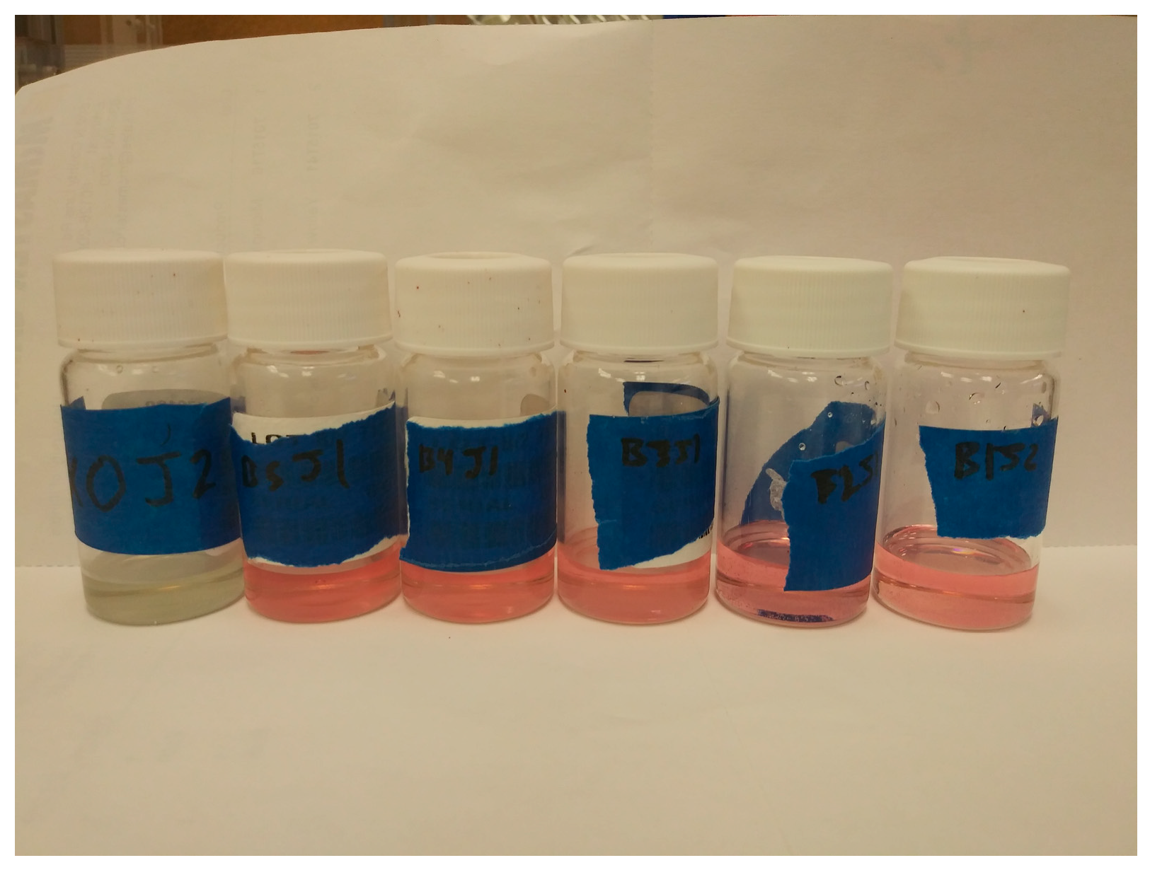 Catalysts 11 01488 g0a3