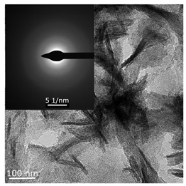 Catalysts 11 01489 i002