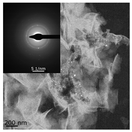 Catalysts 11 01489 i005