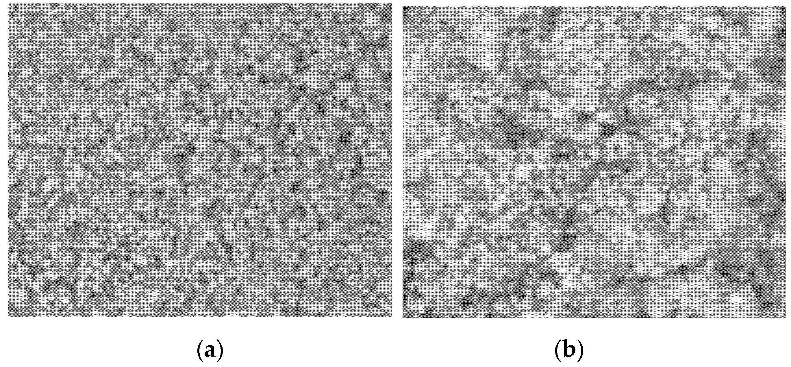 Catalysts 11 01492 g004 Catalysts 11 01492 g004