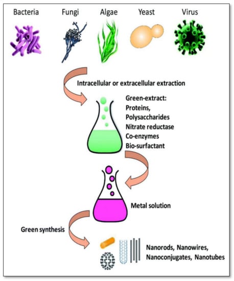 Catalysts 11 01494 g002