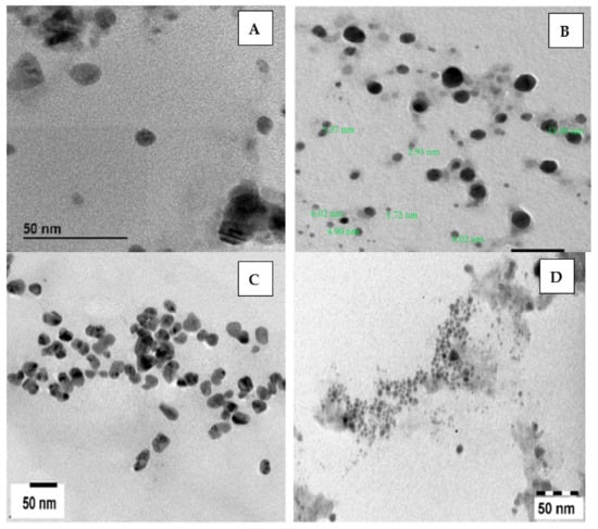 Catalysts 11 01494 g004