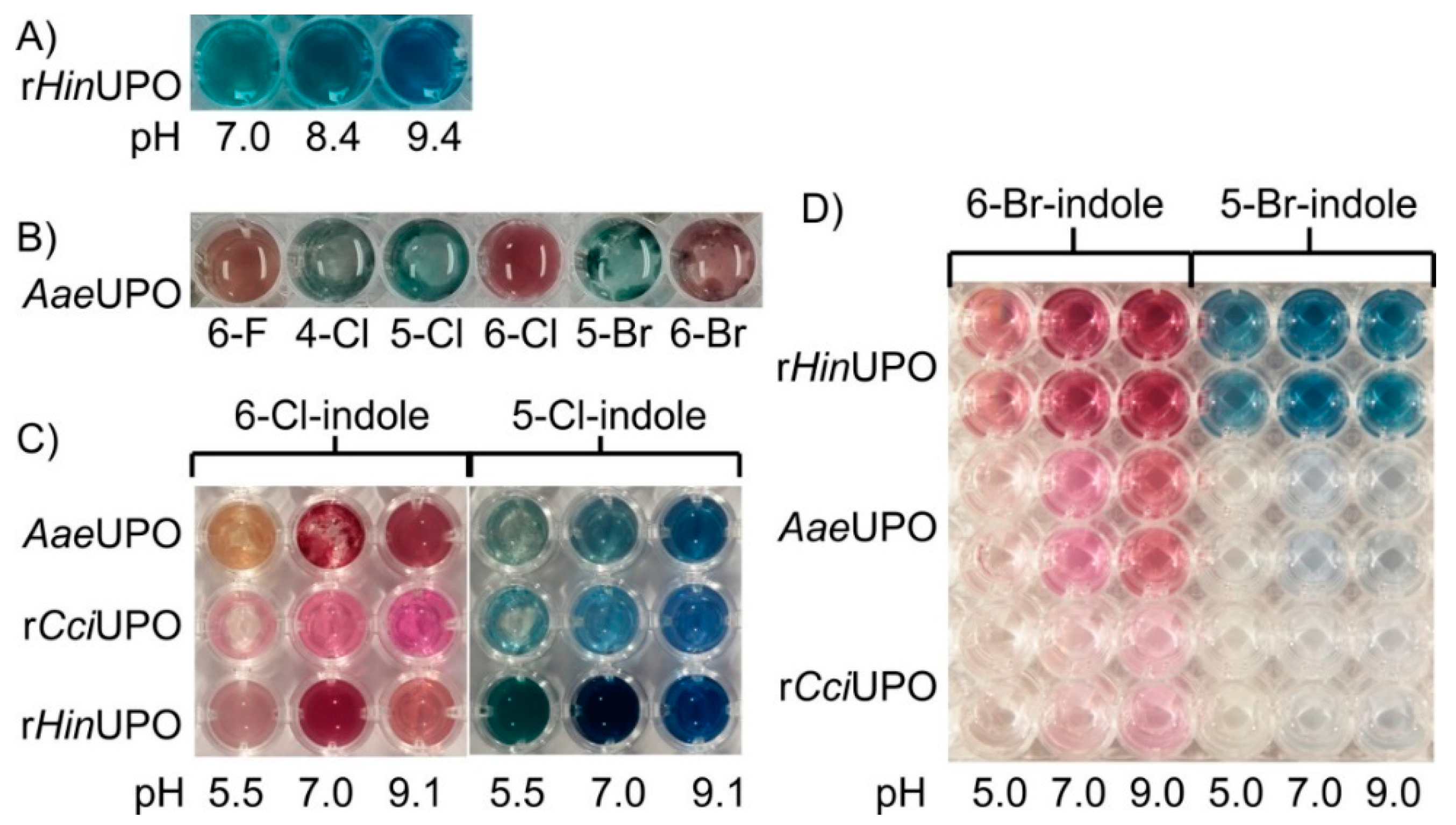 Catalysts 11 01495 g001
