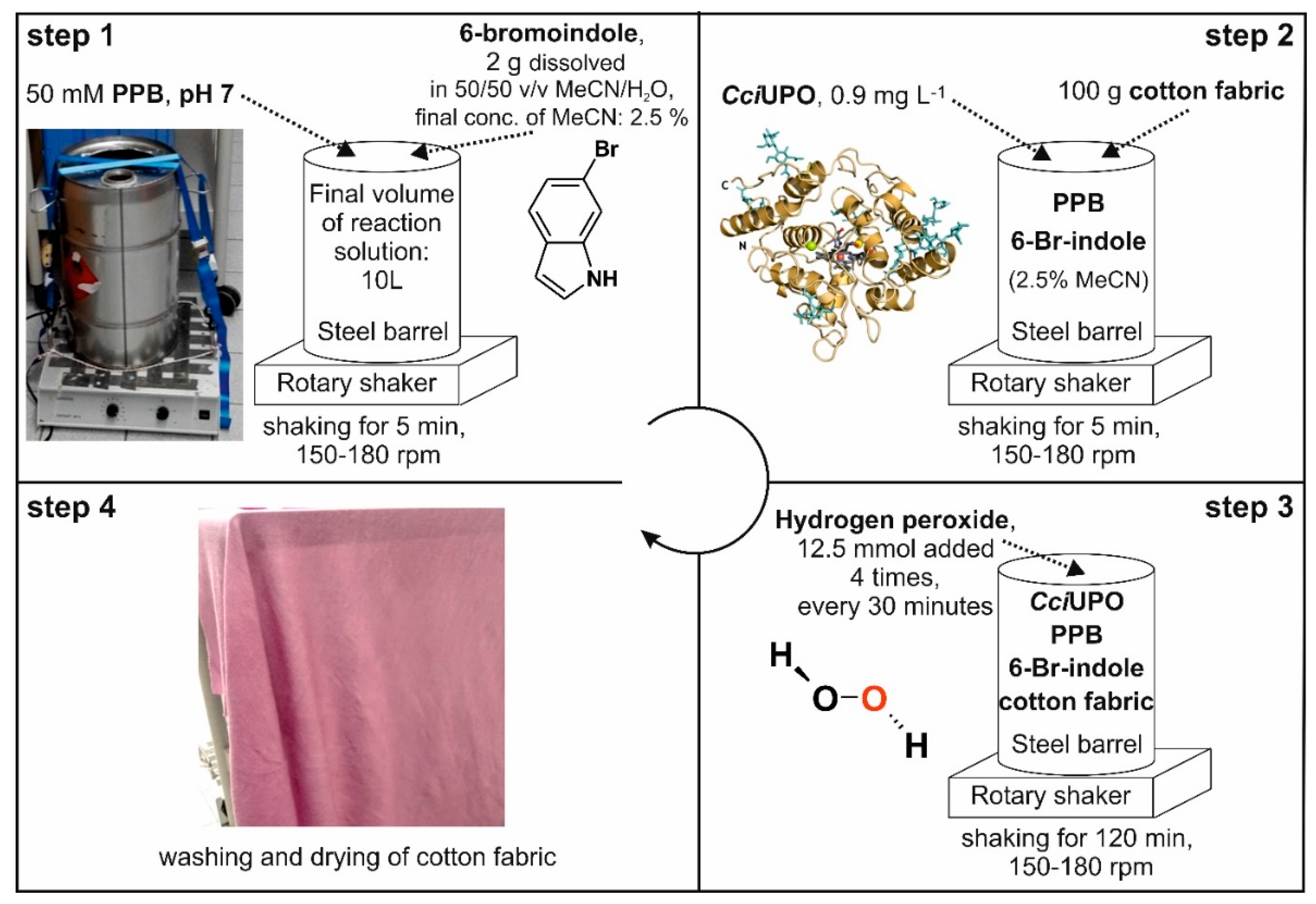 Catalysts 11 01495 g003