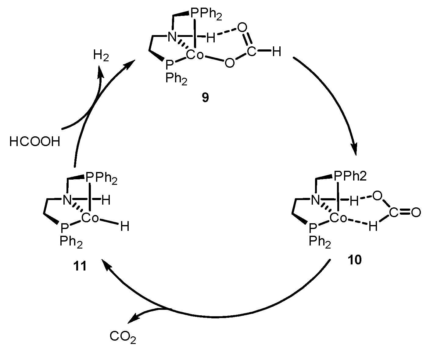 Catalysts 11 01497 sch003 Catalysts 11 01497 sch003