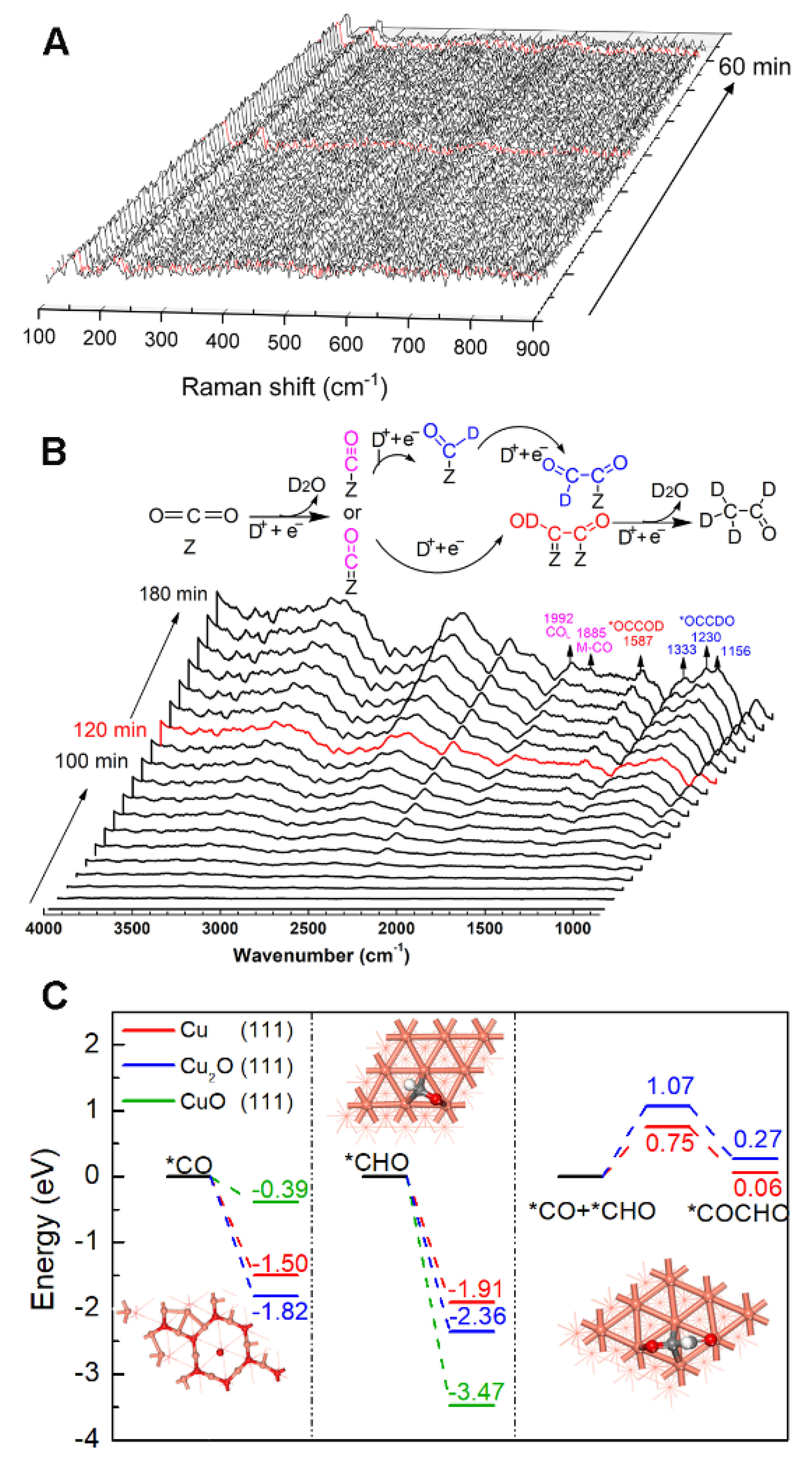 Catalysts 11 01502 g003