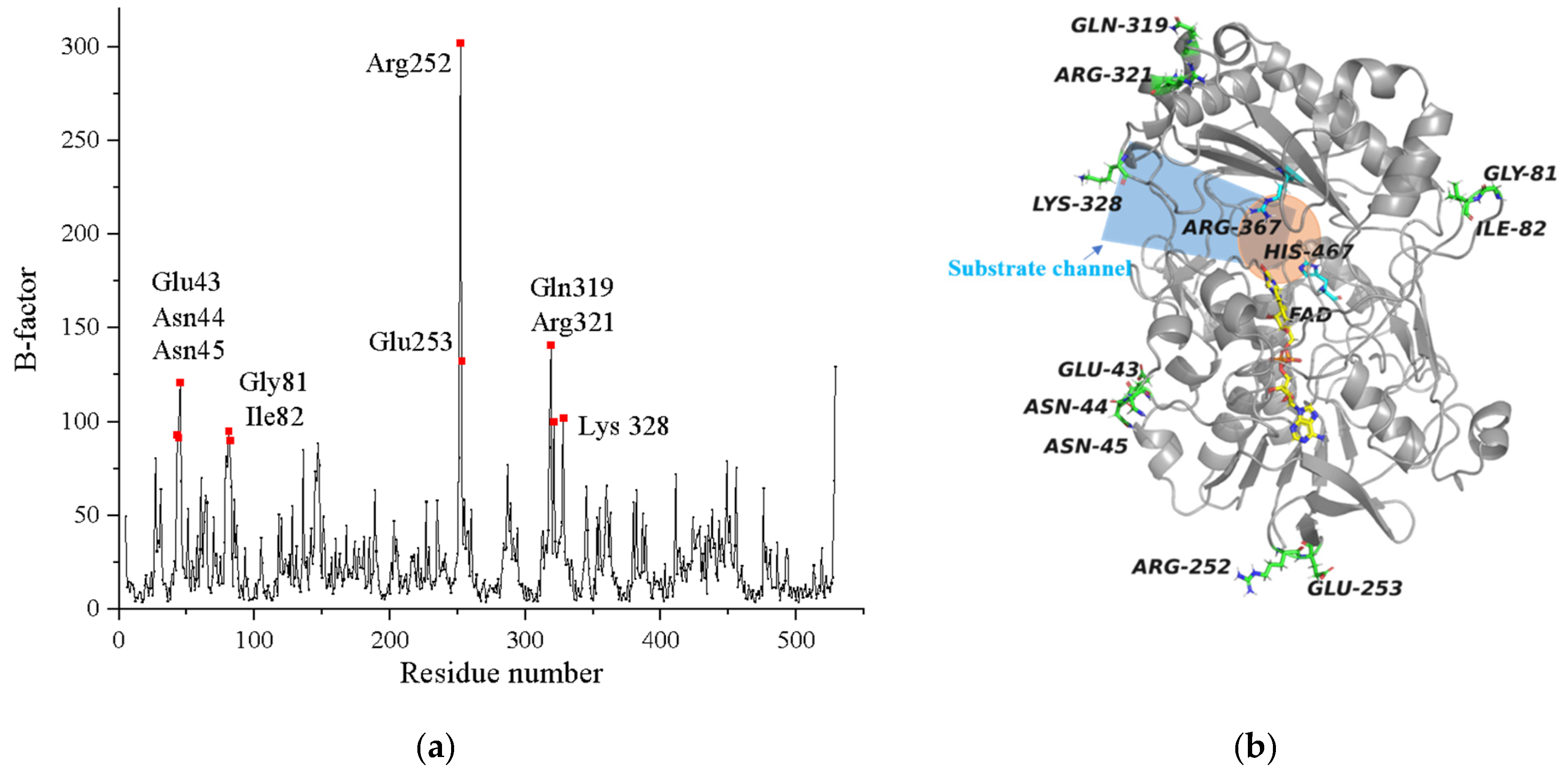 Catalysts 11 01503 g001 Catalysts 11 01503 g001