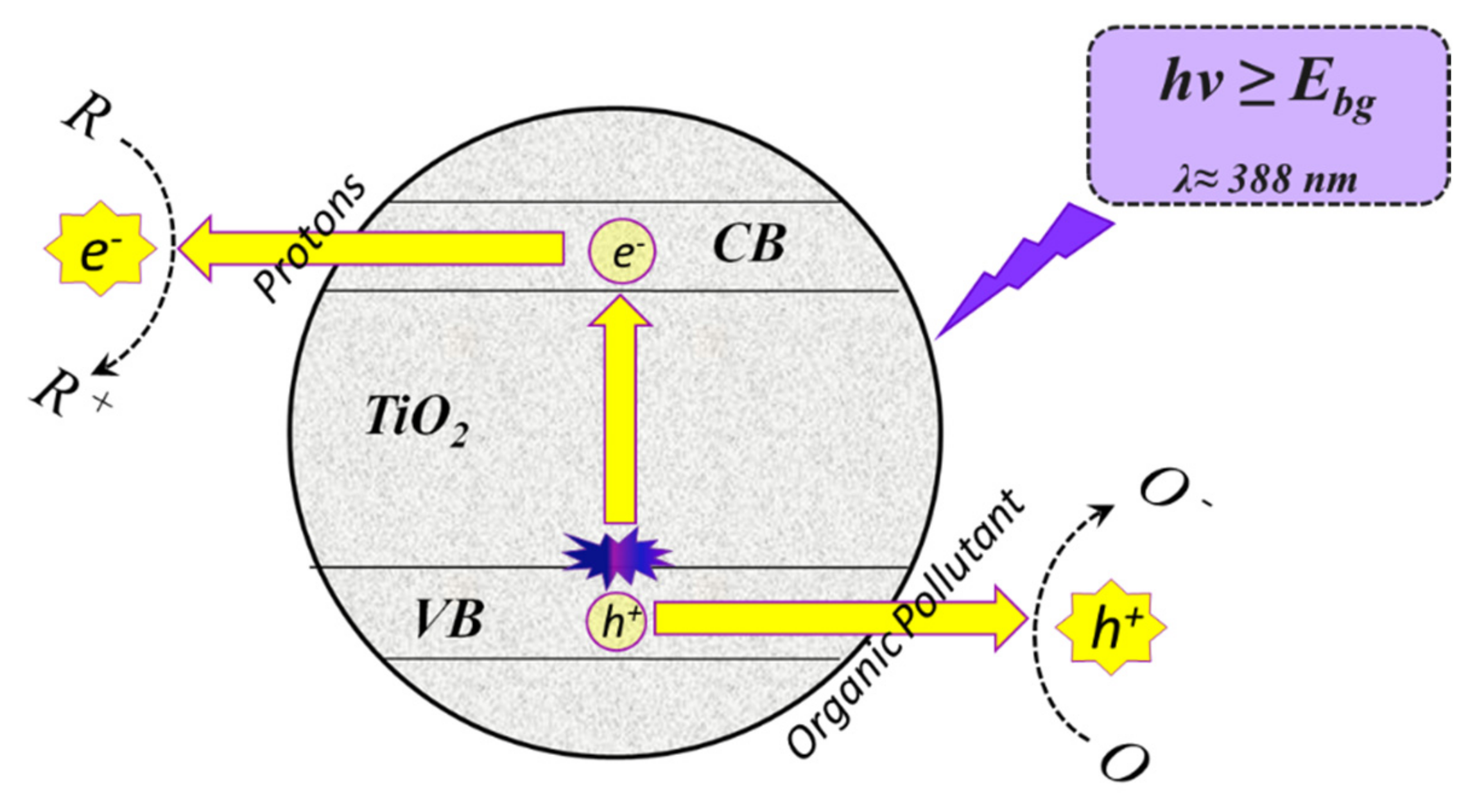 Catalysts 11 01505 g001