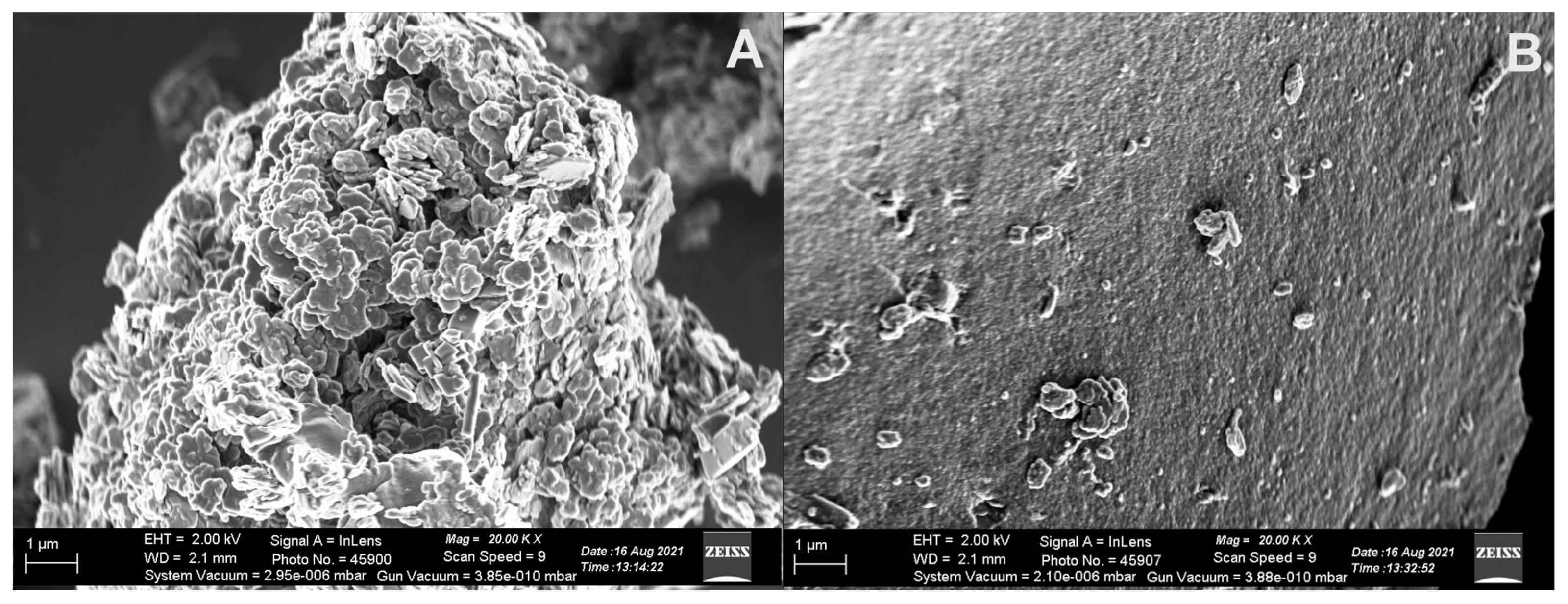 Catalysts 11 01527 g003