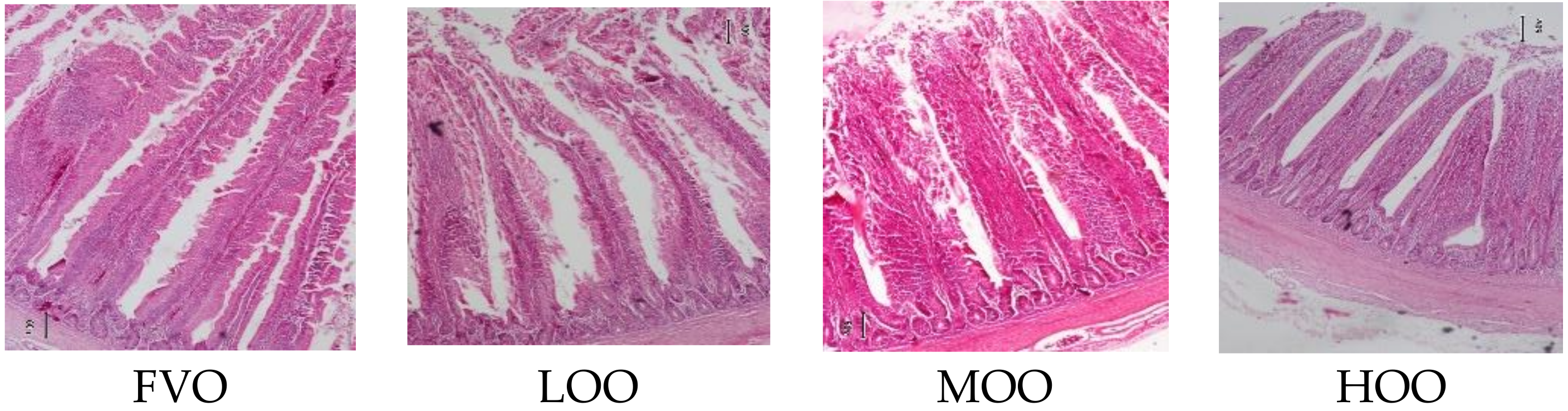 Catalysts 11 01528 g001