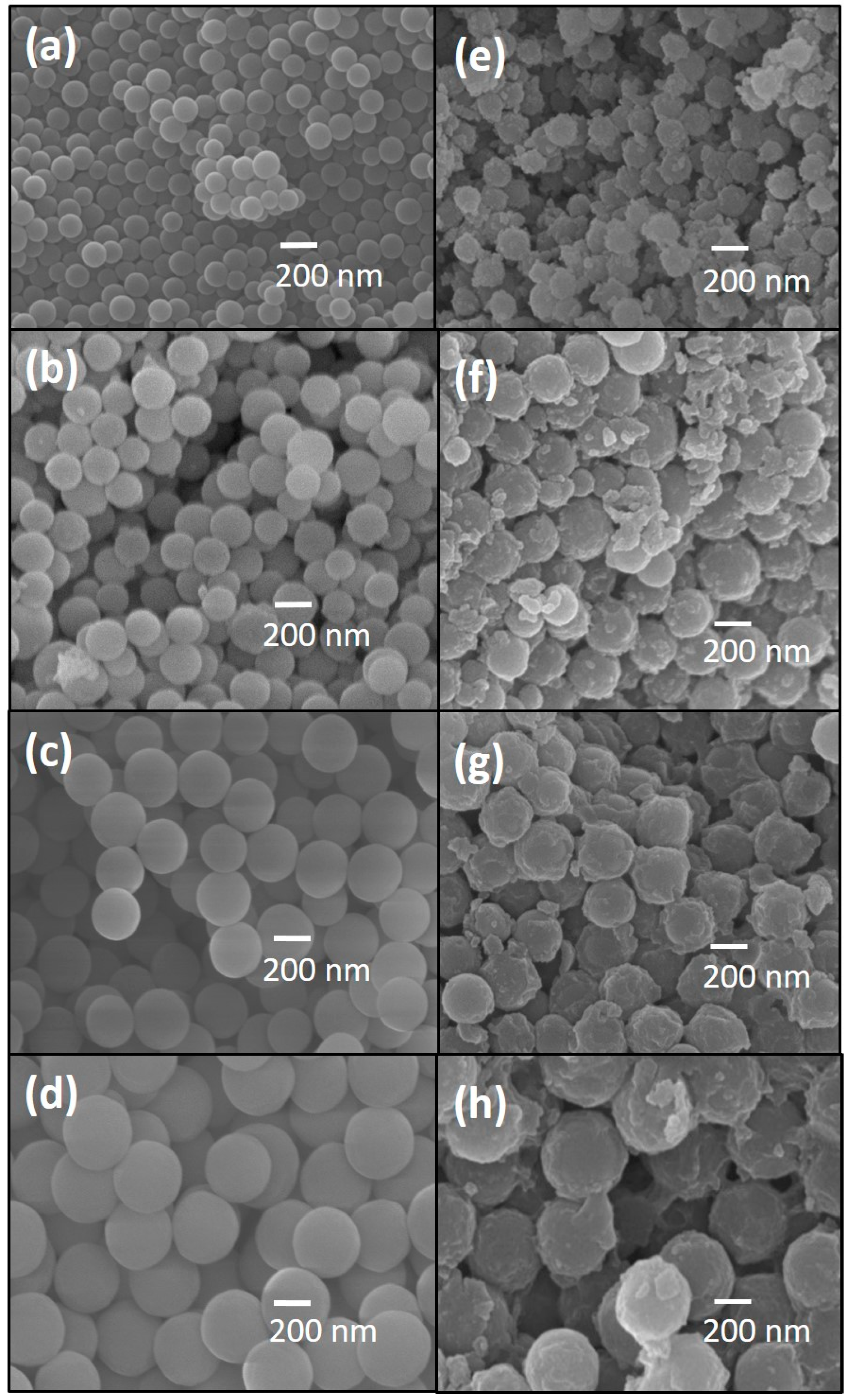 Catalysts 11 01532 g001